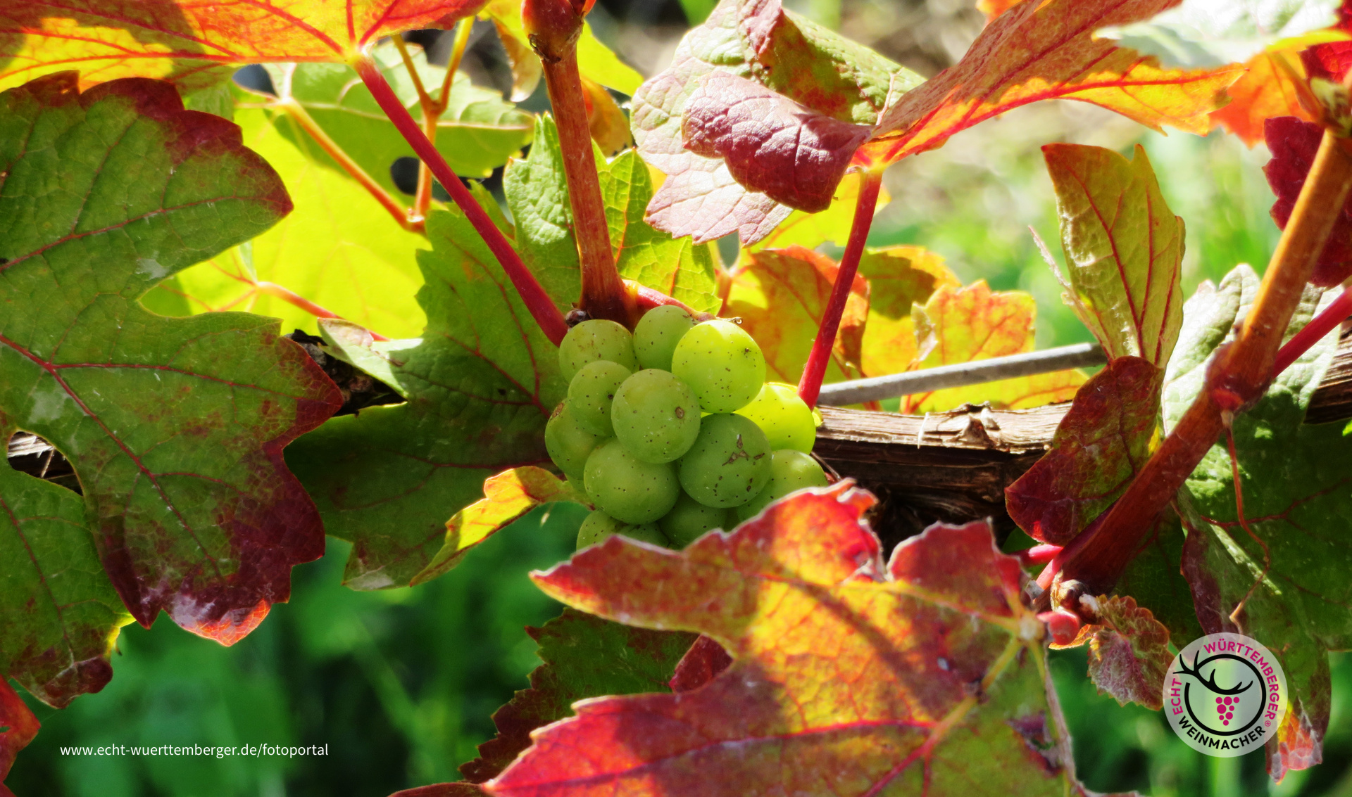 Der Herbst naht