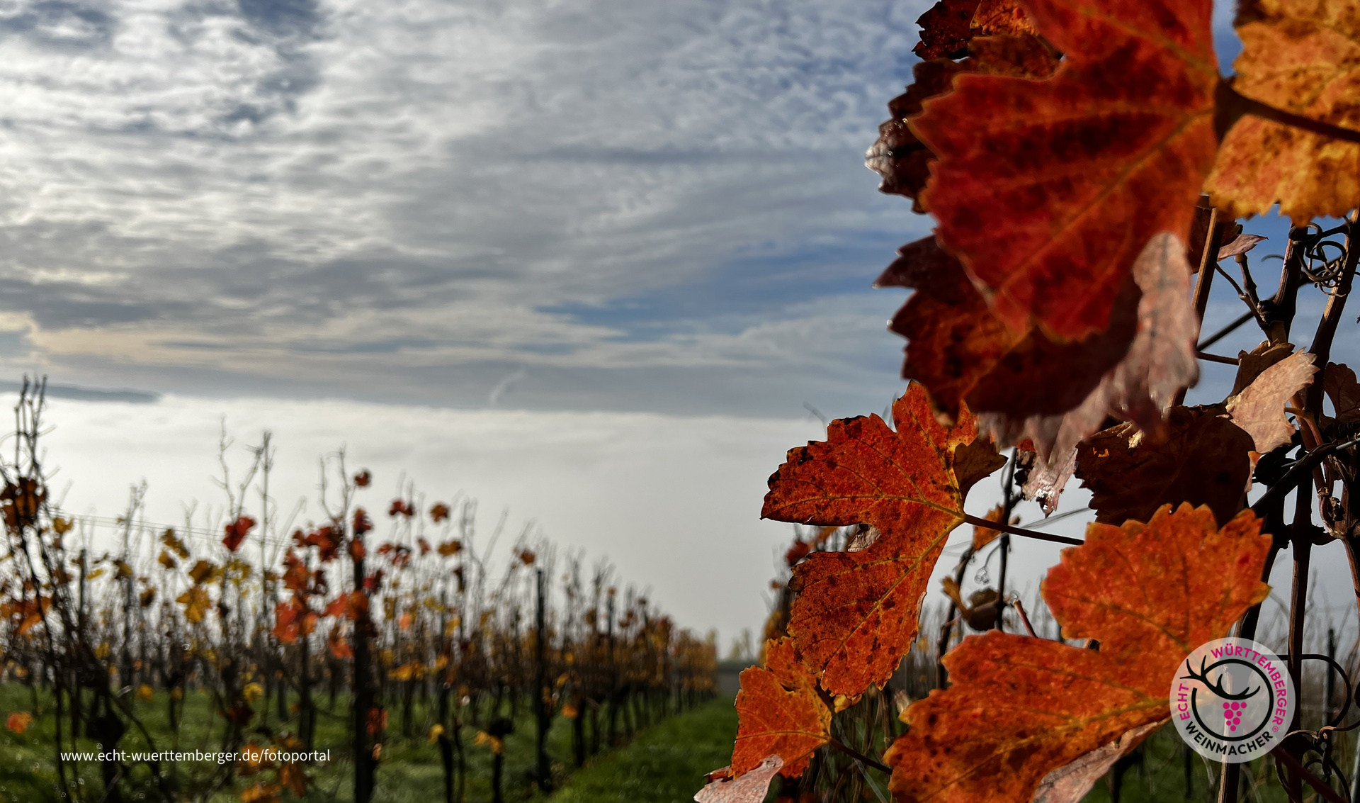 Rotes Leuchten im grauen November