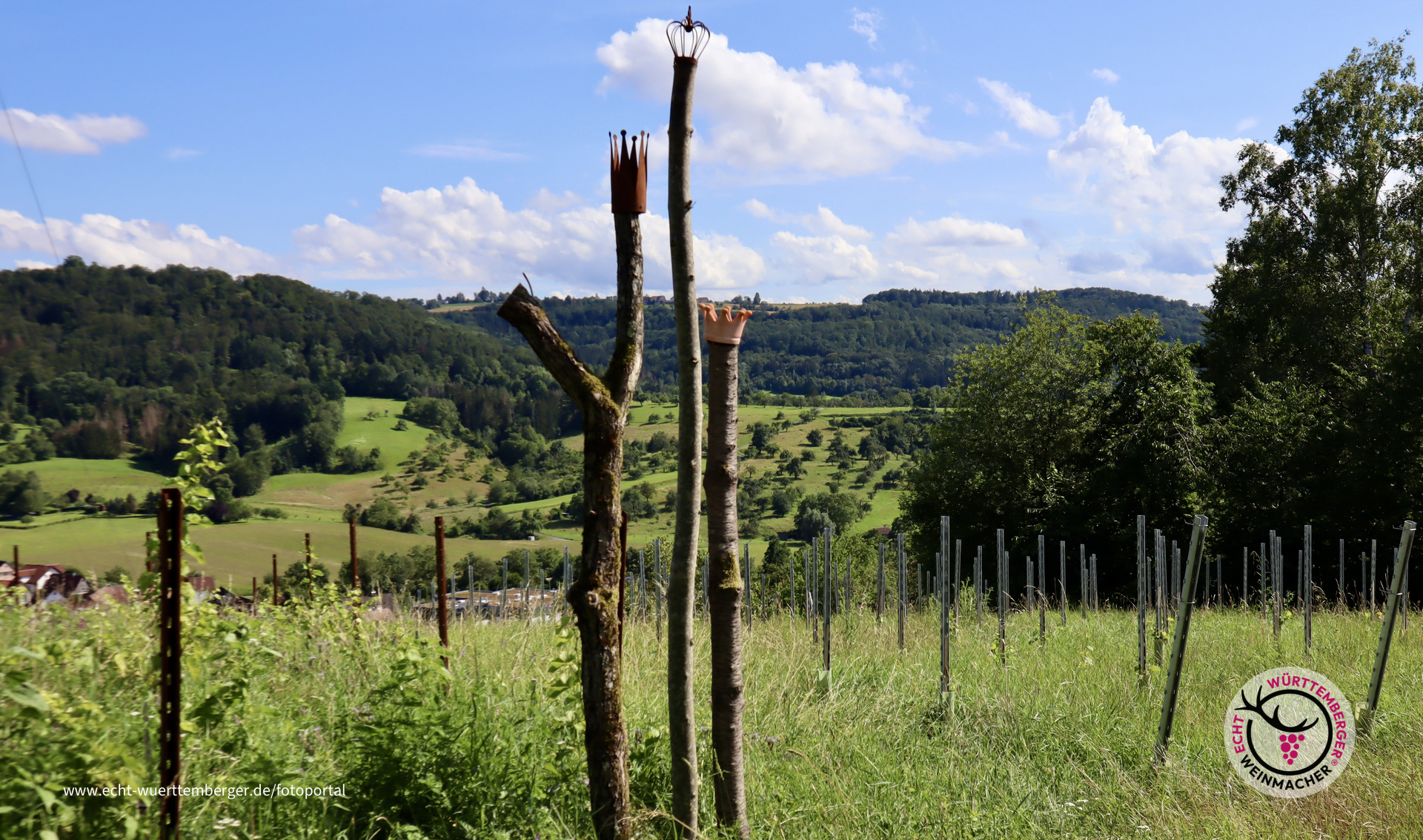 Die drei Ebersberger Vinöre mit Kronen