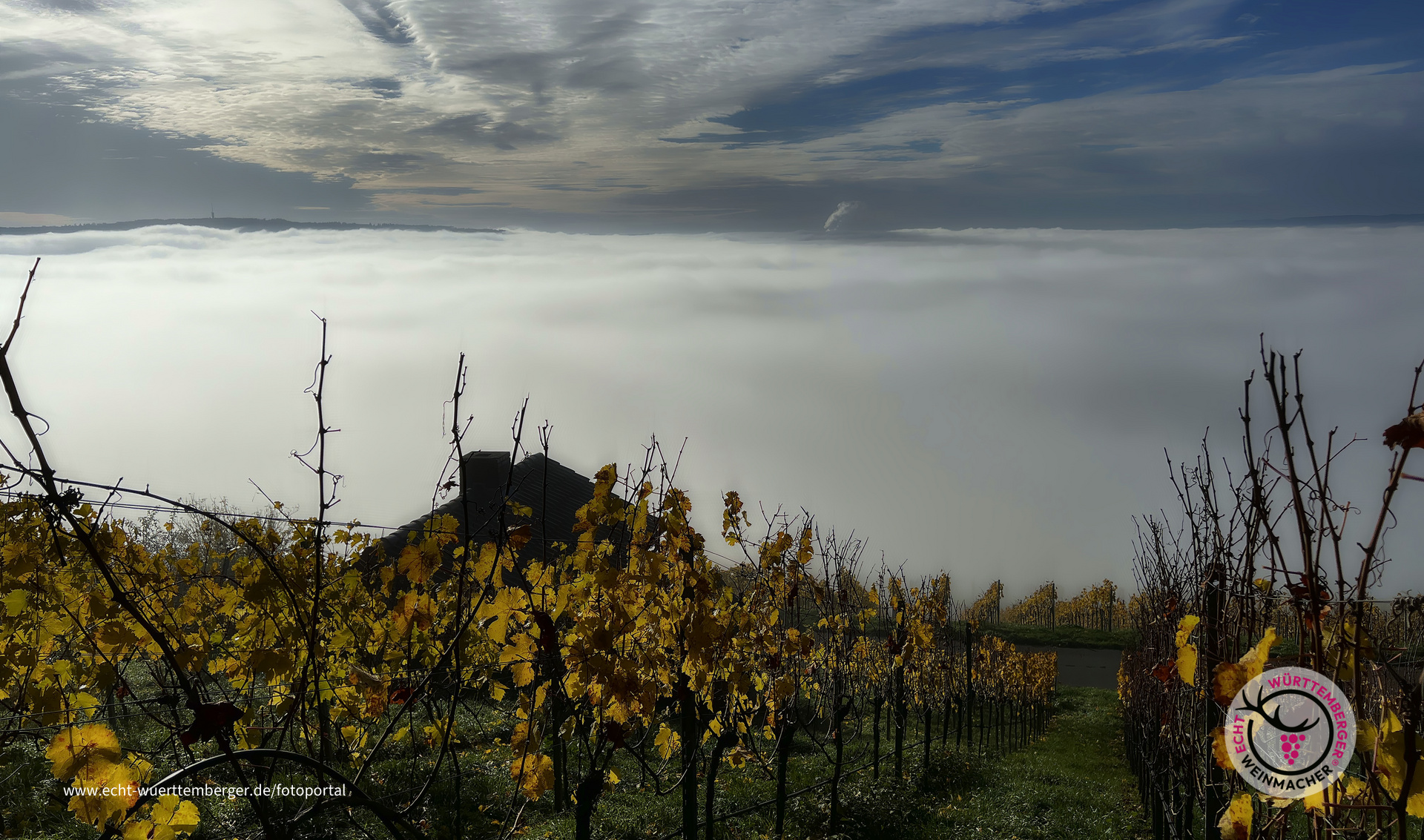 Im Nebelmeer eingetaucht