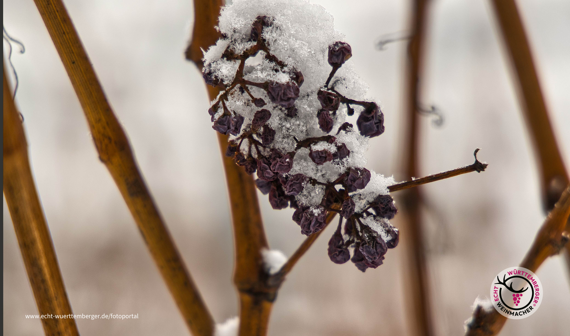...hängengeblieben!