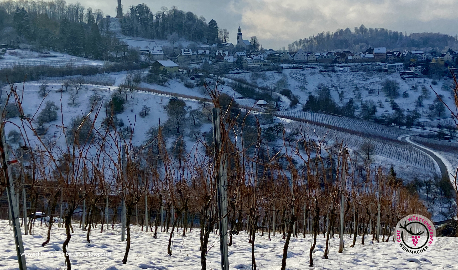 Löwenstein /  Schnee / Weinberge