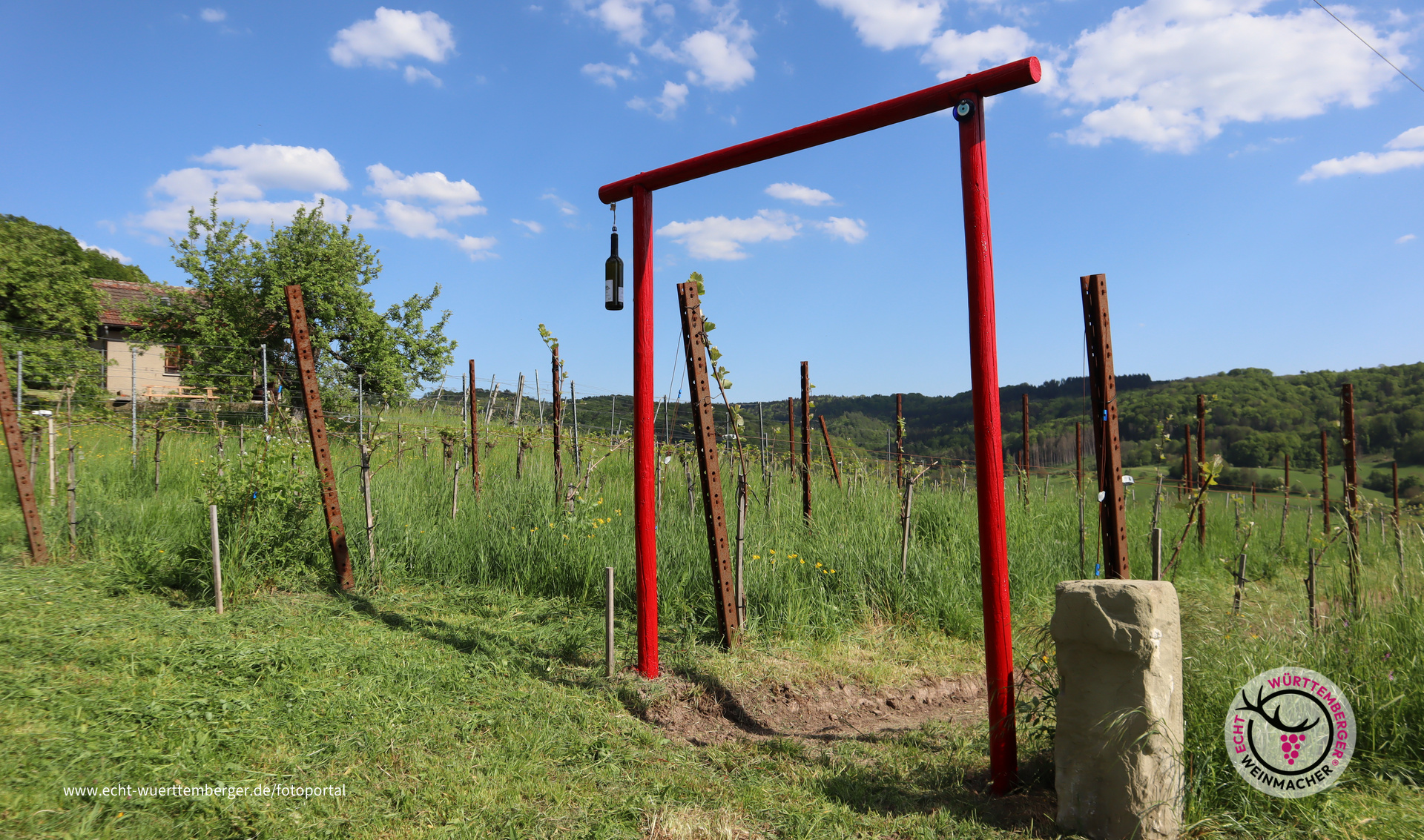 "Chinesisches" "Japanisches Tor" in den Weinberg