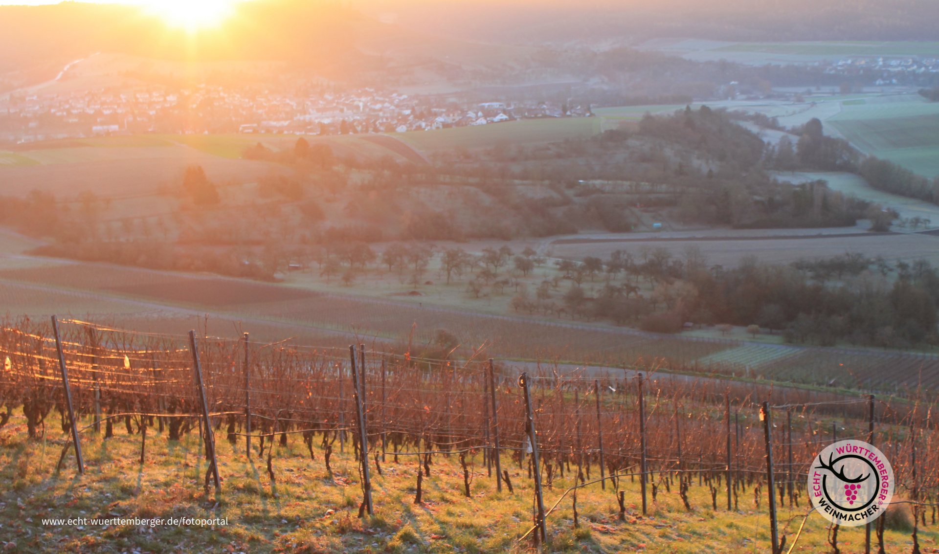 Wintersonne über dem Bottwartal 