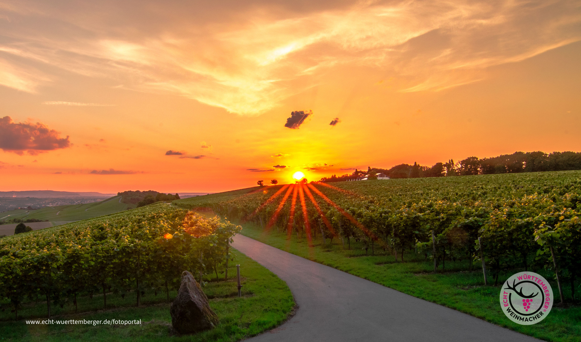 Letzte Sonnenstrahlen