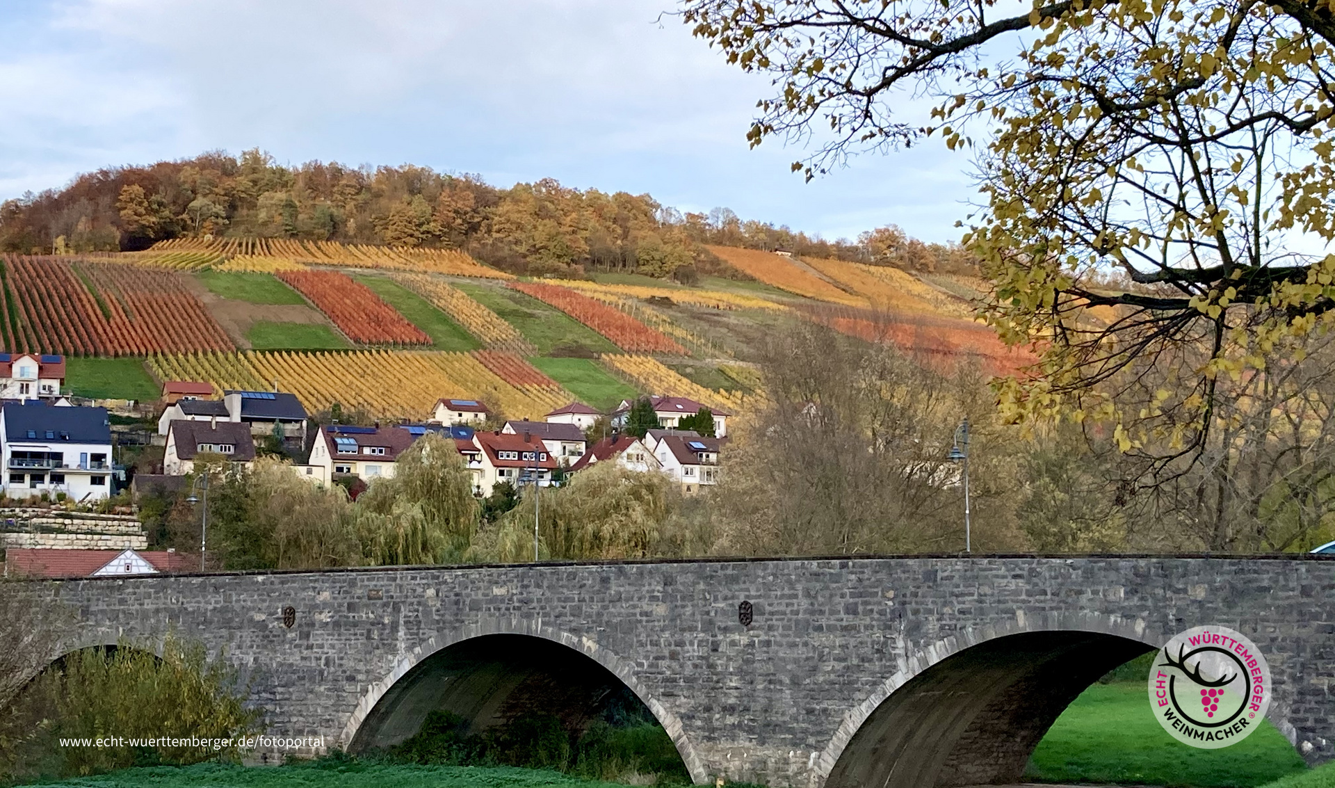 Bunte Weinberge in Hohenlohe