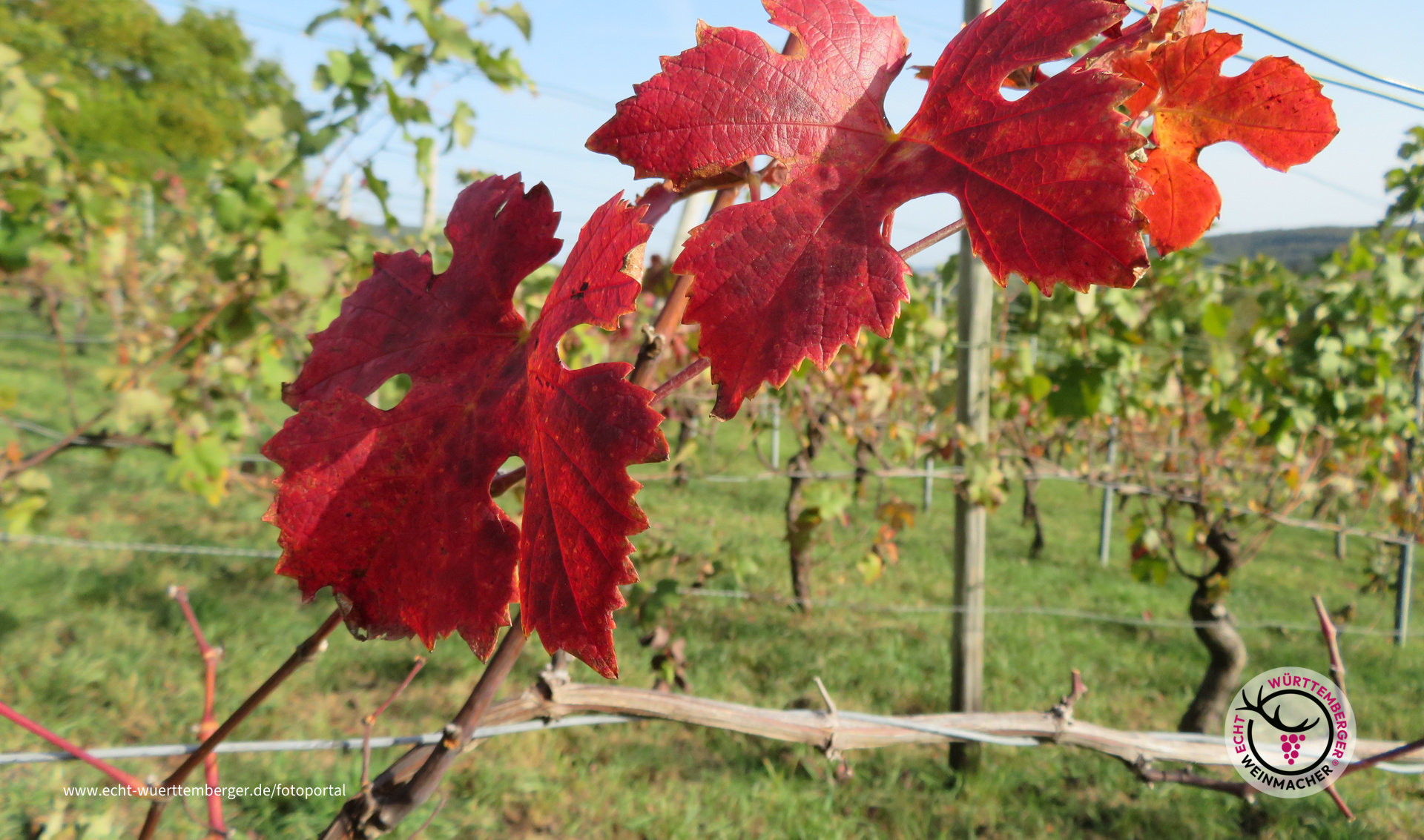 der Herbst ist da