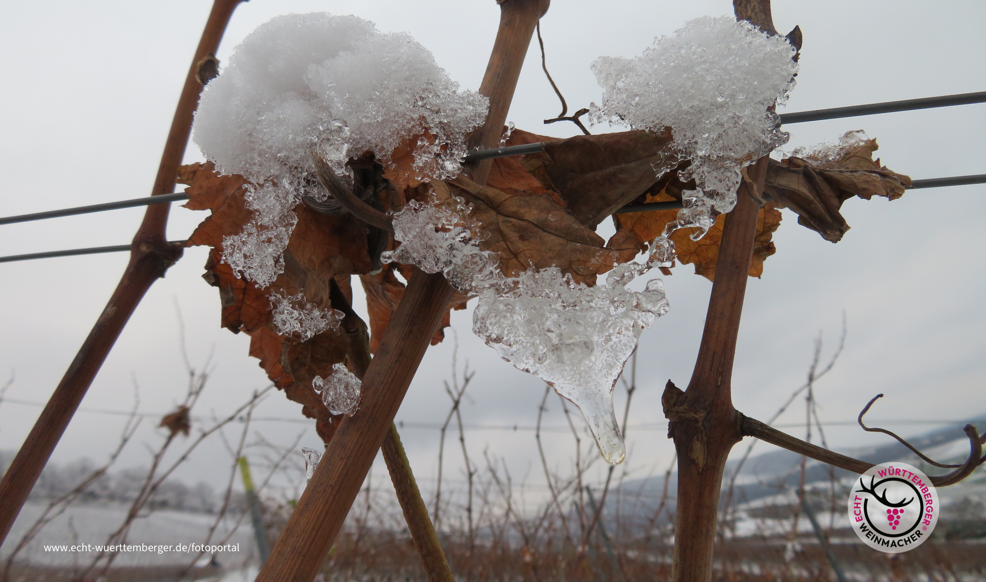 Eis(wein)collier