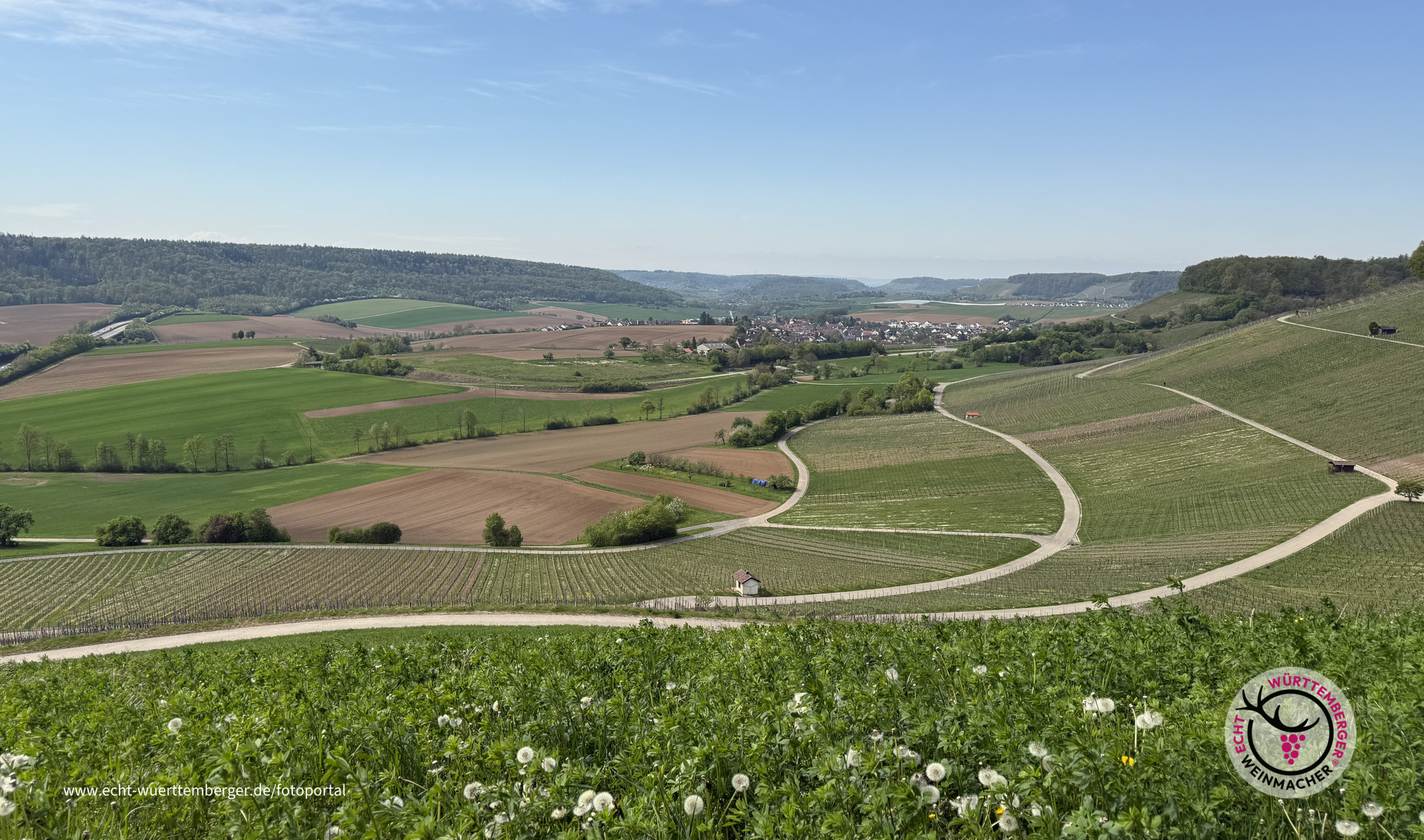 Weitblick