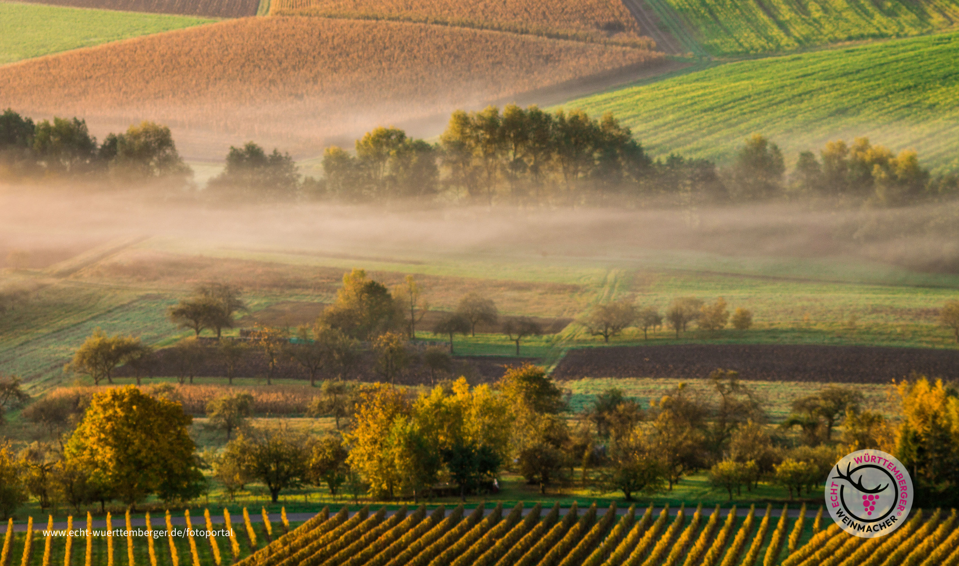 Herbstliche Nebelschwaden