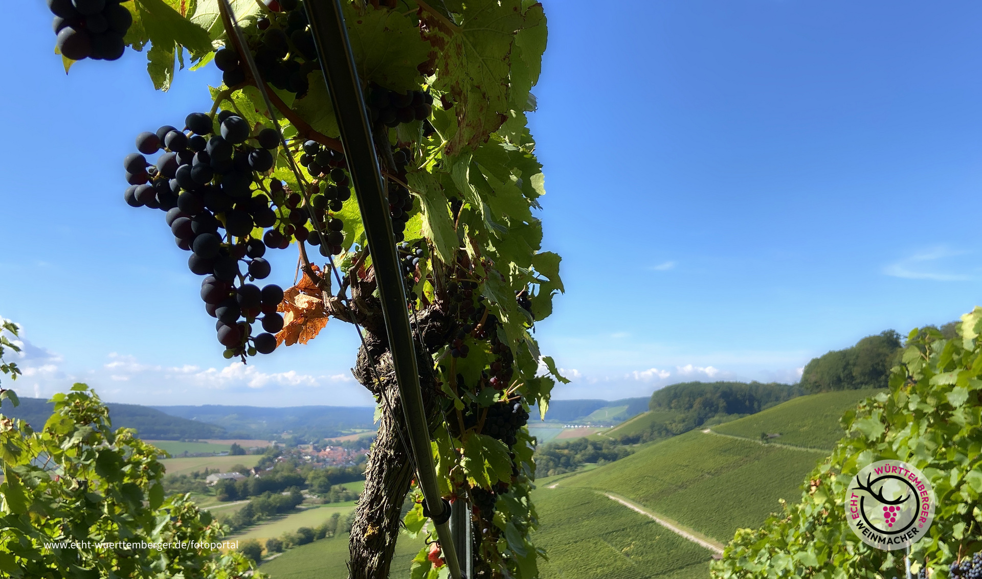 Der Jahrgang 2022 wartet drauf, gelesen zu werden