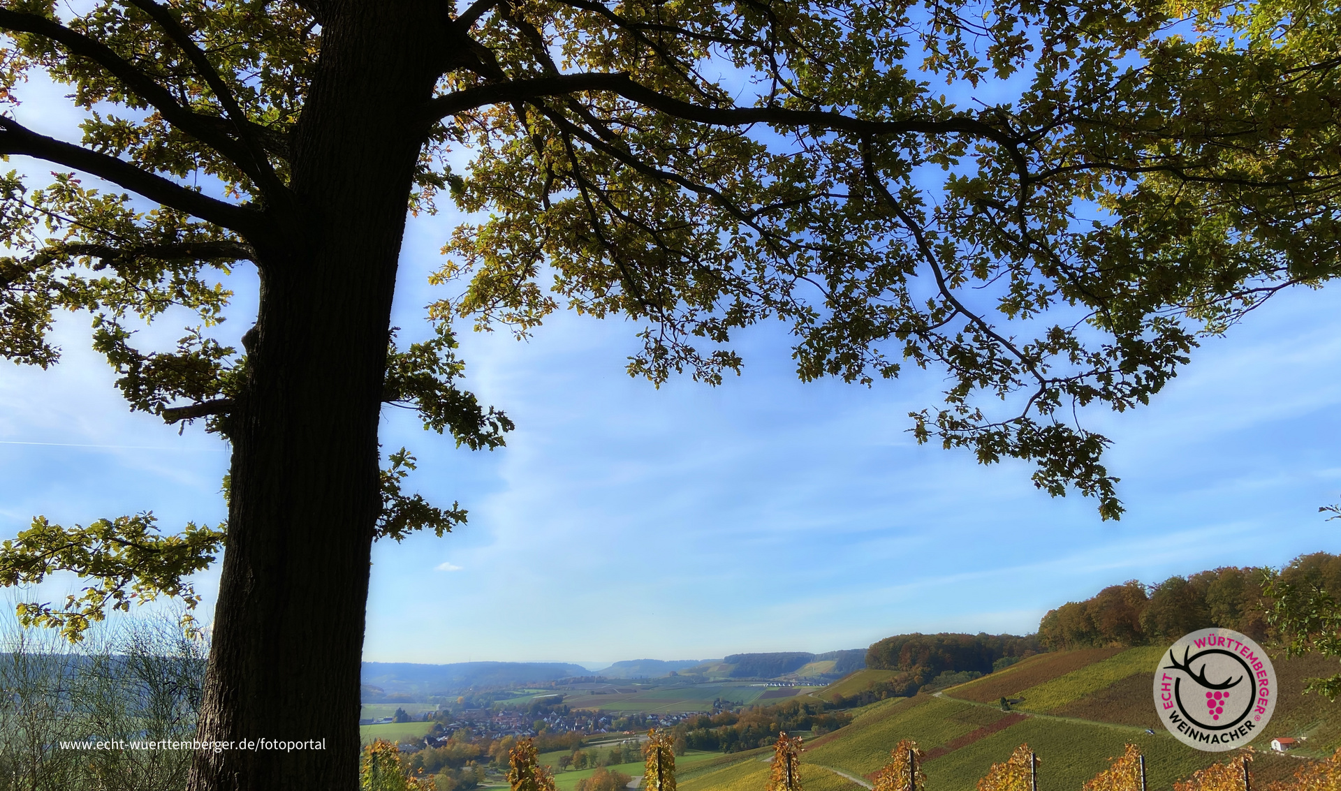 Buntes Leuchten
