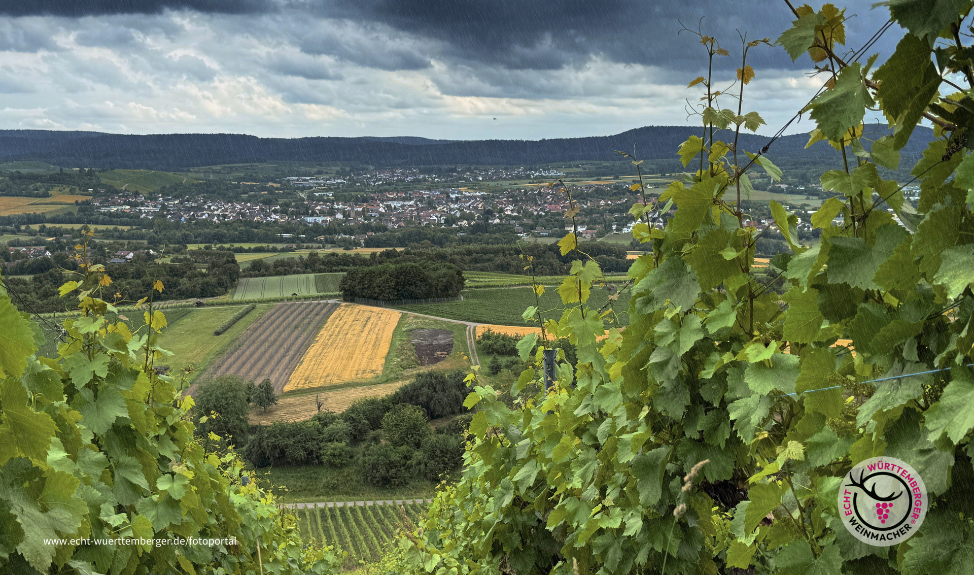 Klatschnass im Wengert
