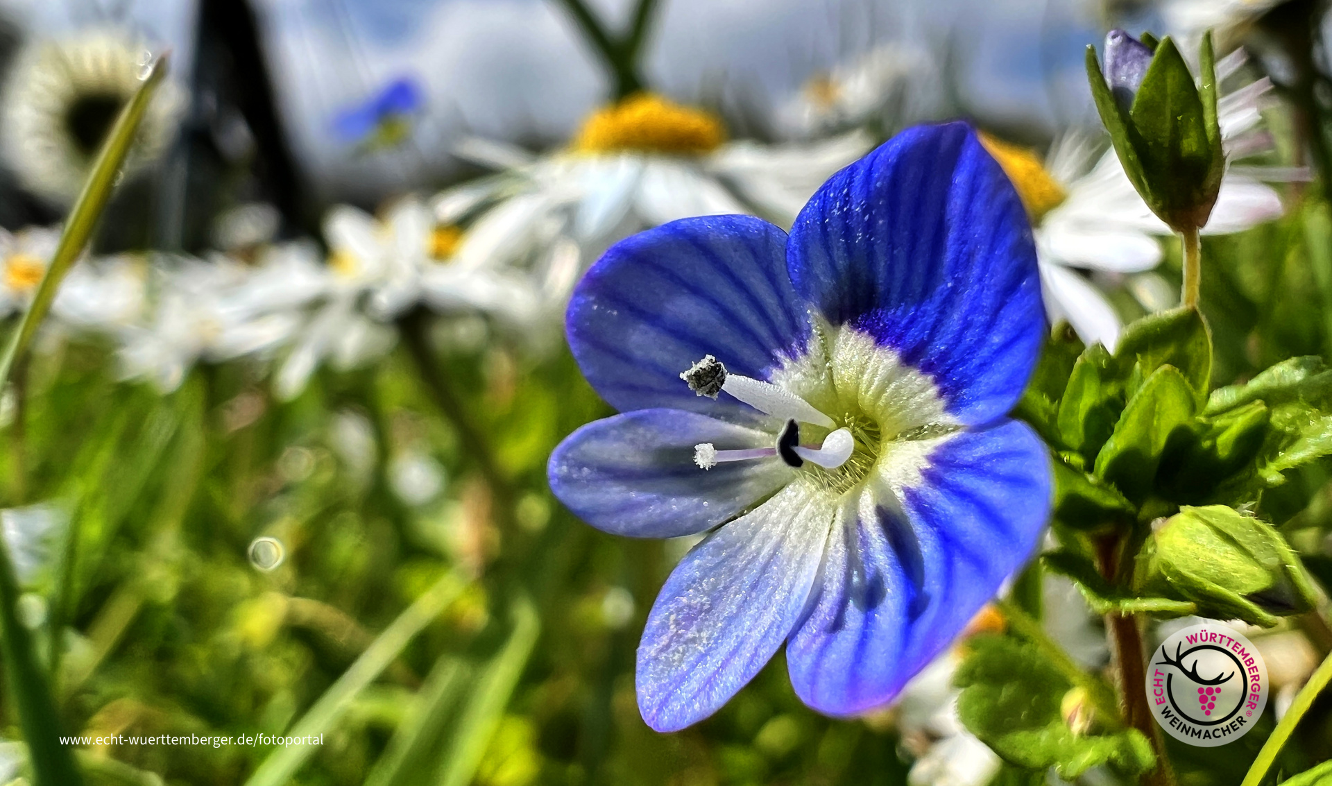 Zwischen "den Zeilen"