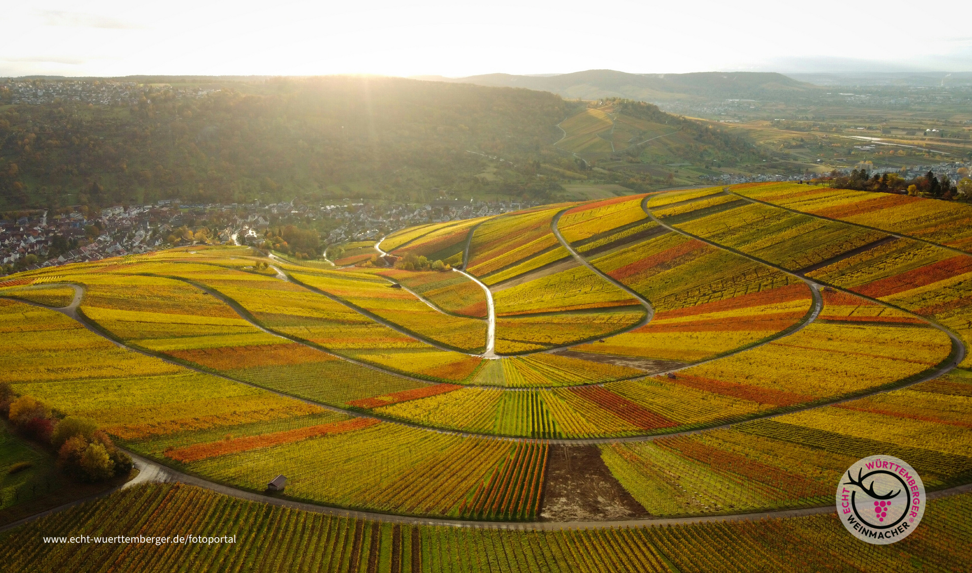 Schnaiter Herbstlaub 1