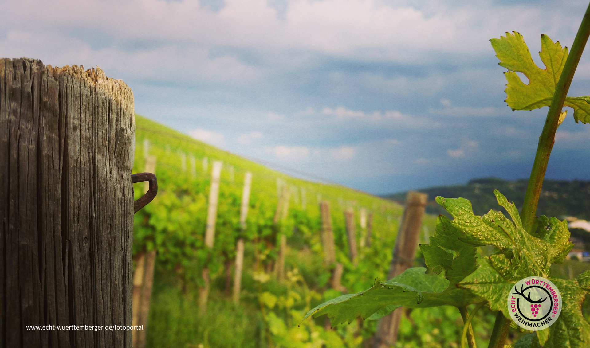 Impression aus dem Mai