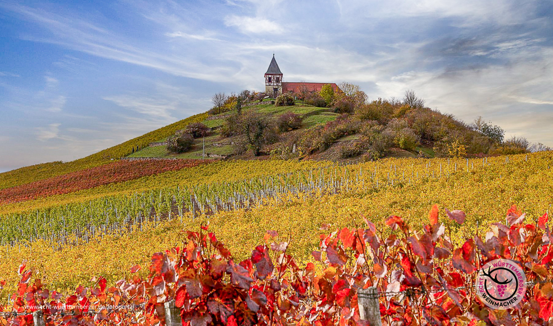 Michaelsberg bei Cleebronn