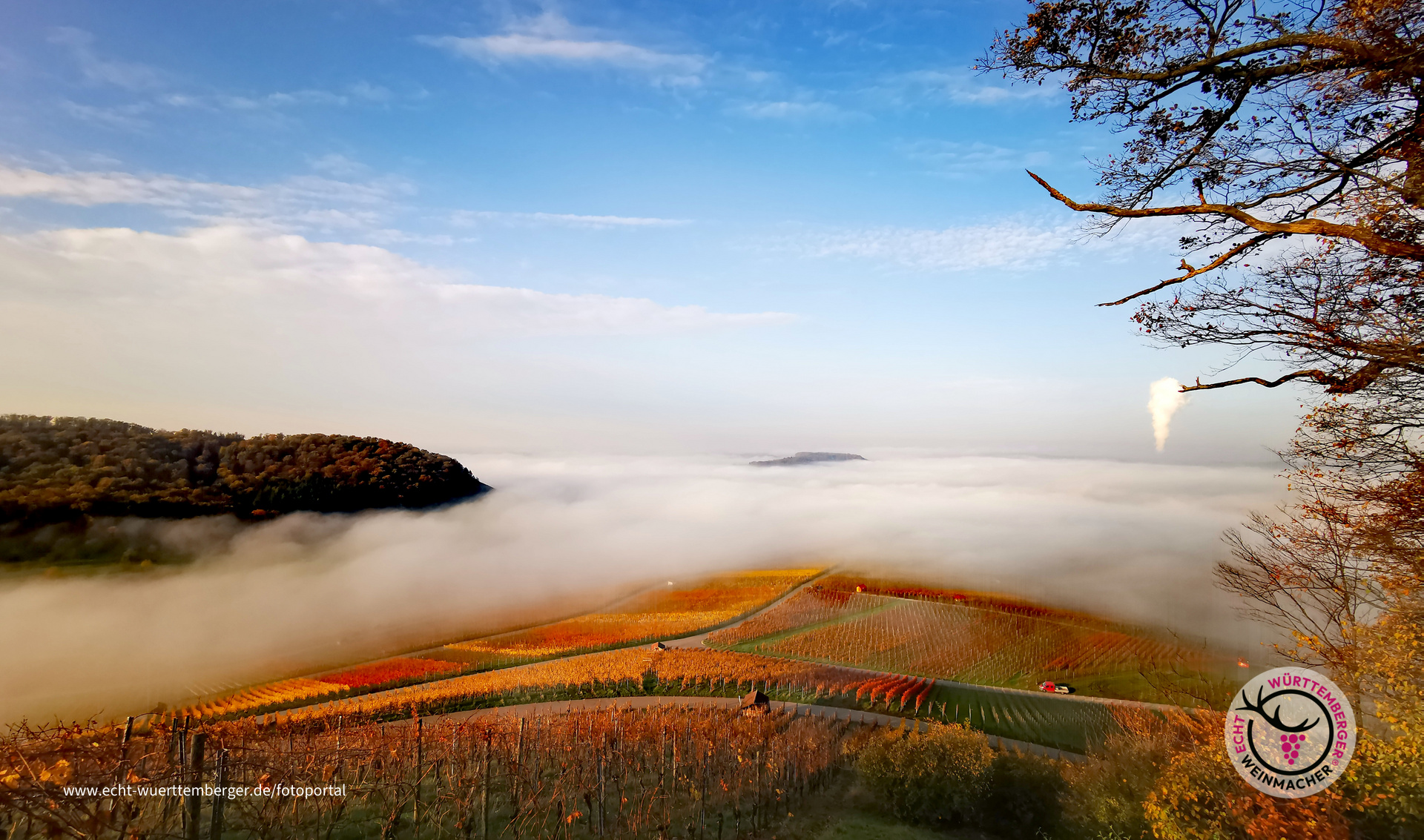 Novemberfaszination am Morgen