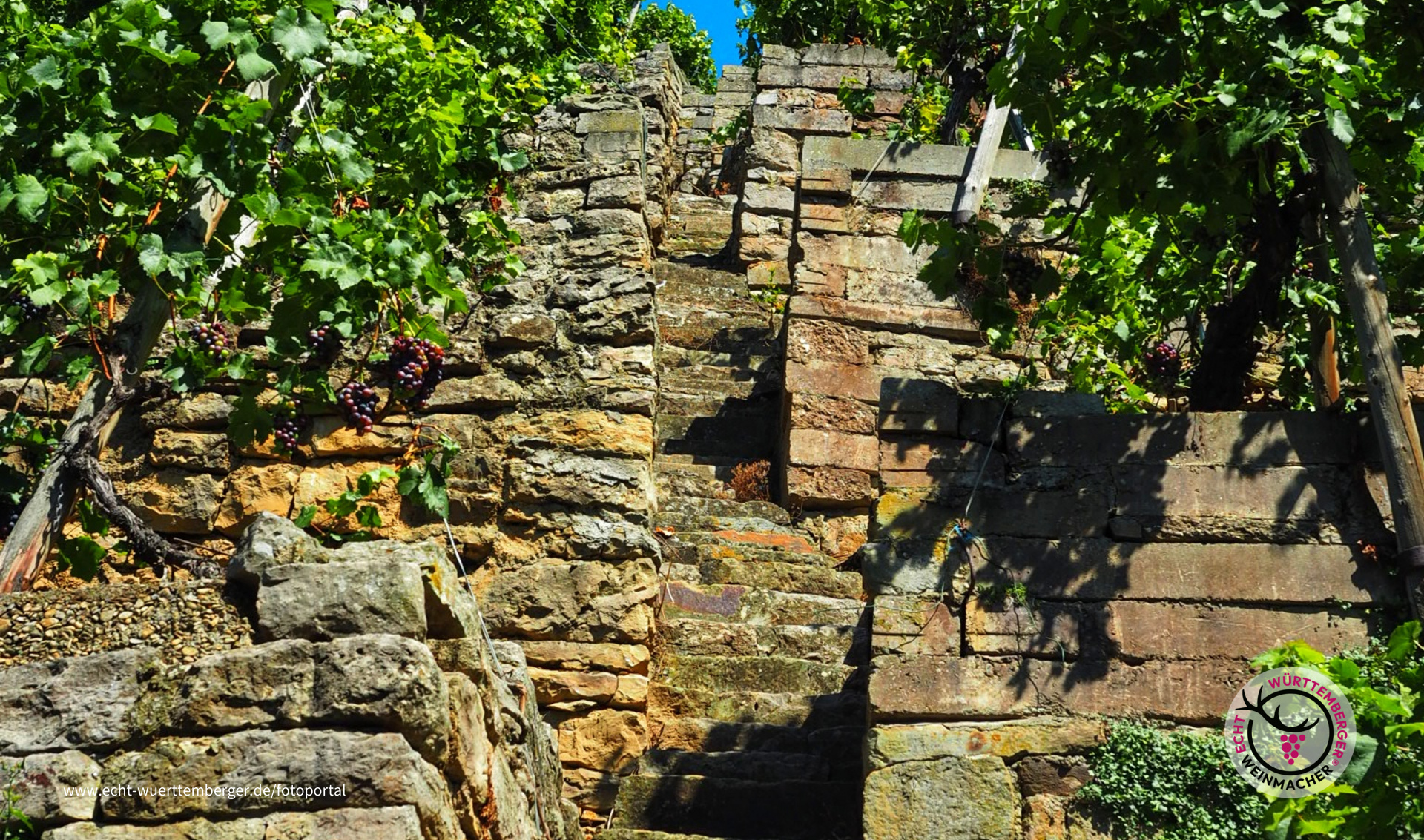 Steillage Kirchheim am Neckar