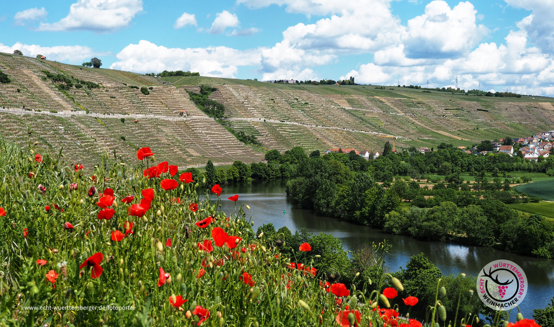 Vom Felsengartenweg (Hesigheim) fotografiert