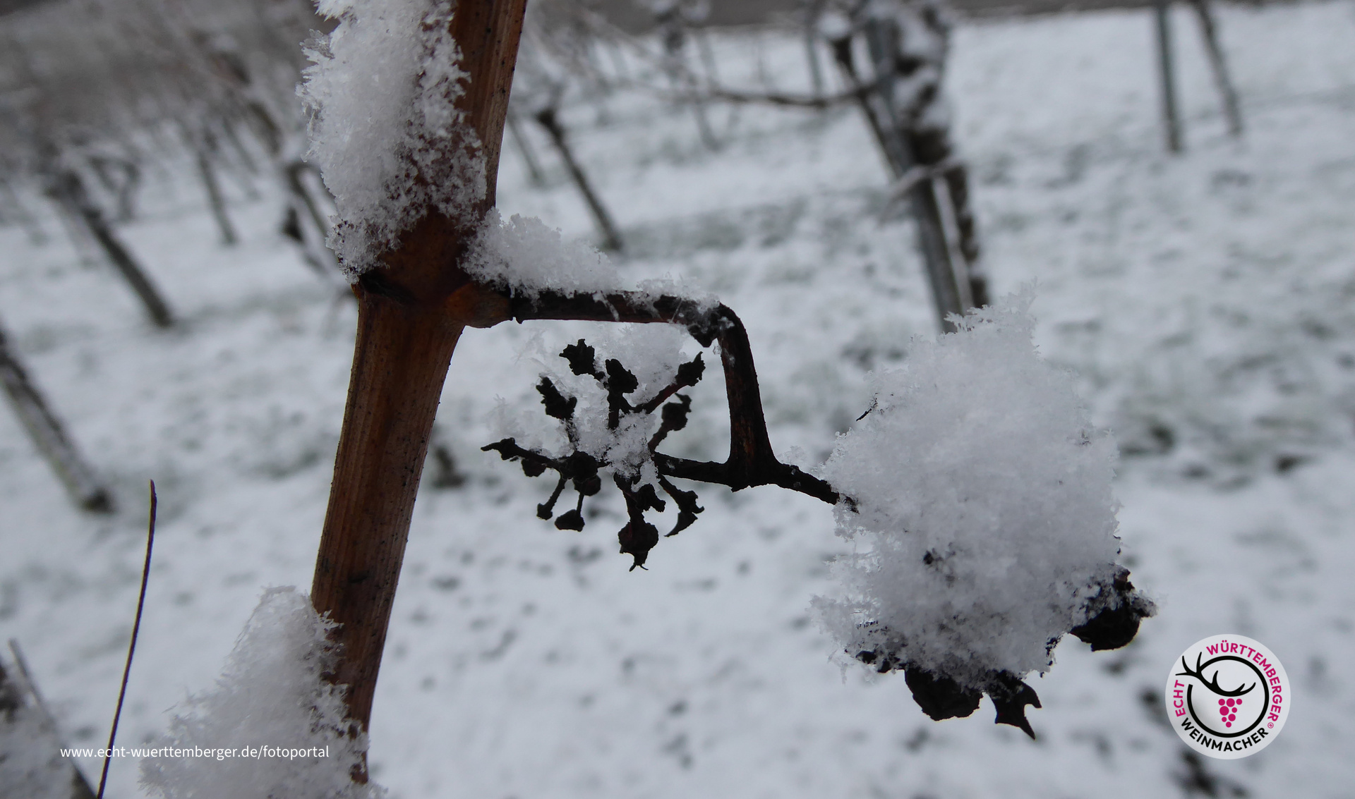 Schneemütze