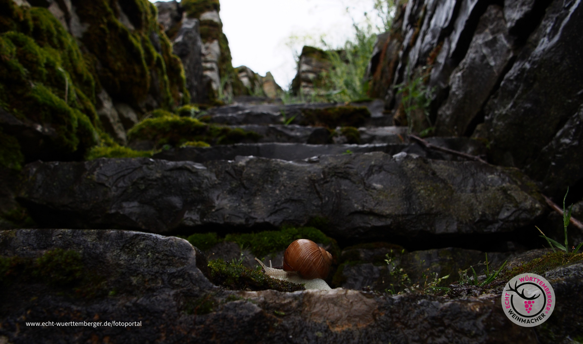 Steiler Weg nach oben