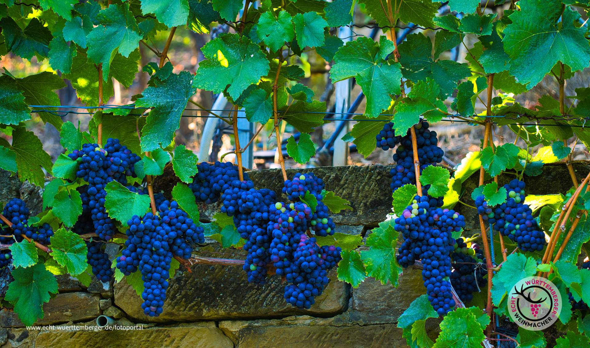 Wie aus dem Bilderbuch