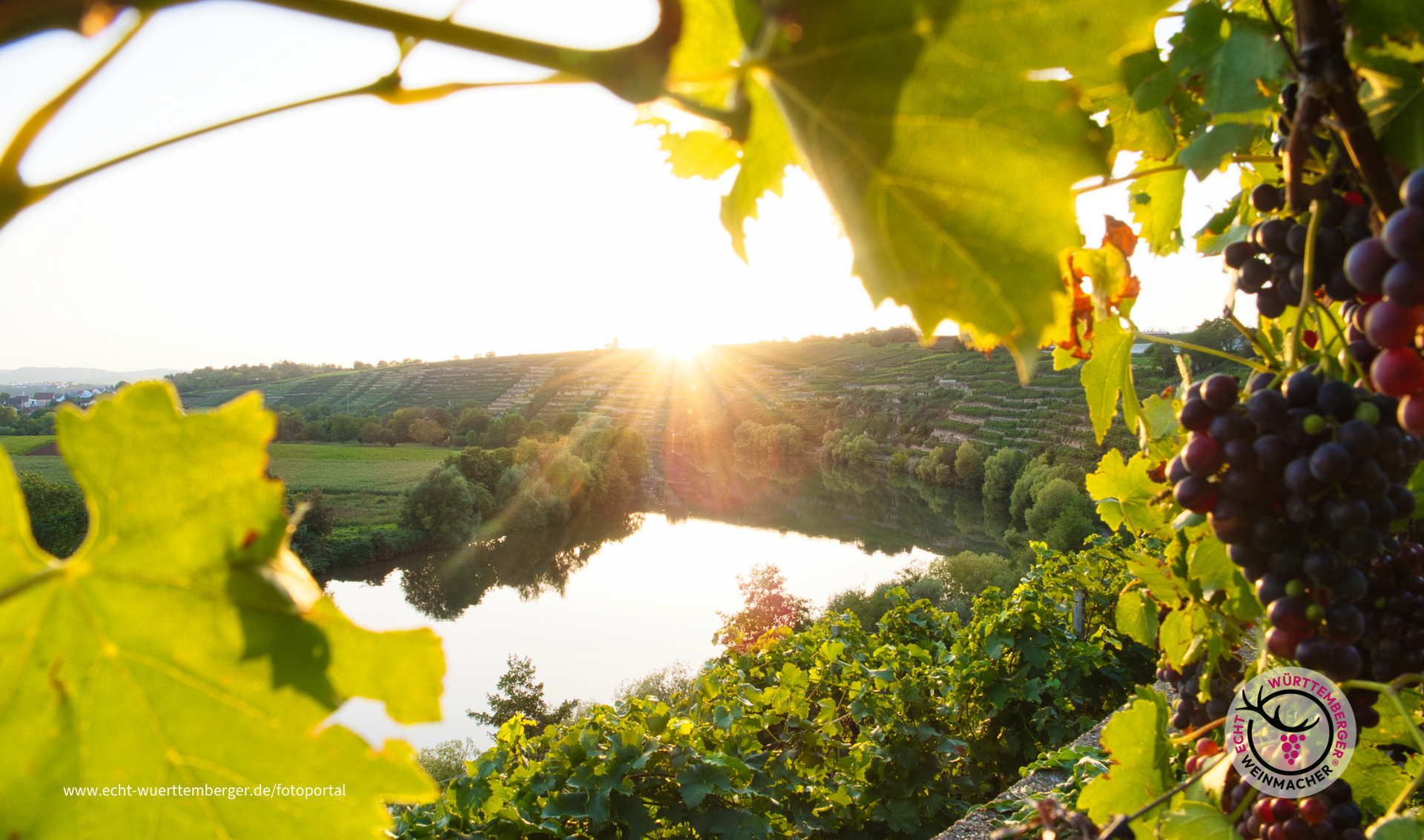 Immer schön, die Kirchheimer Weinterrasse!