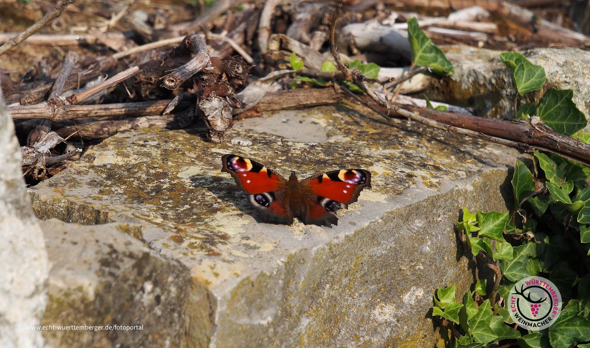Letzte Sonnenstunden genießen