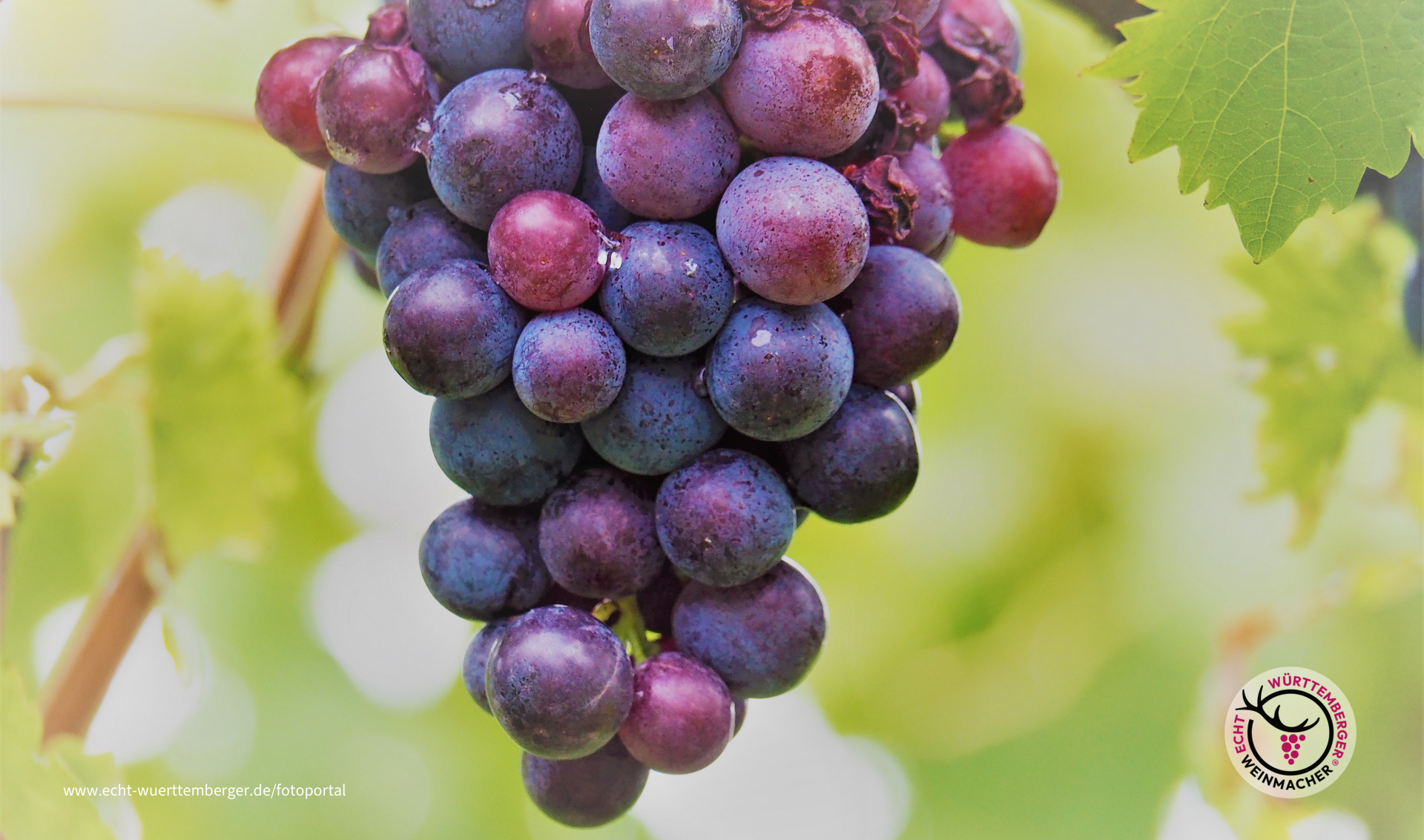 Wir wären dann soweit .....