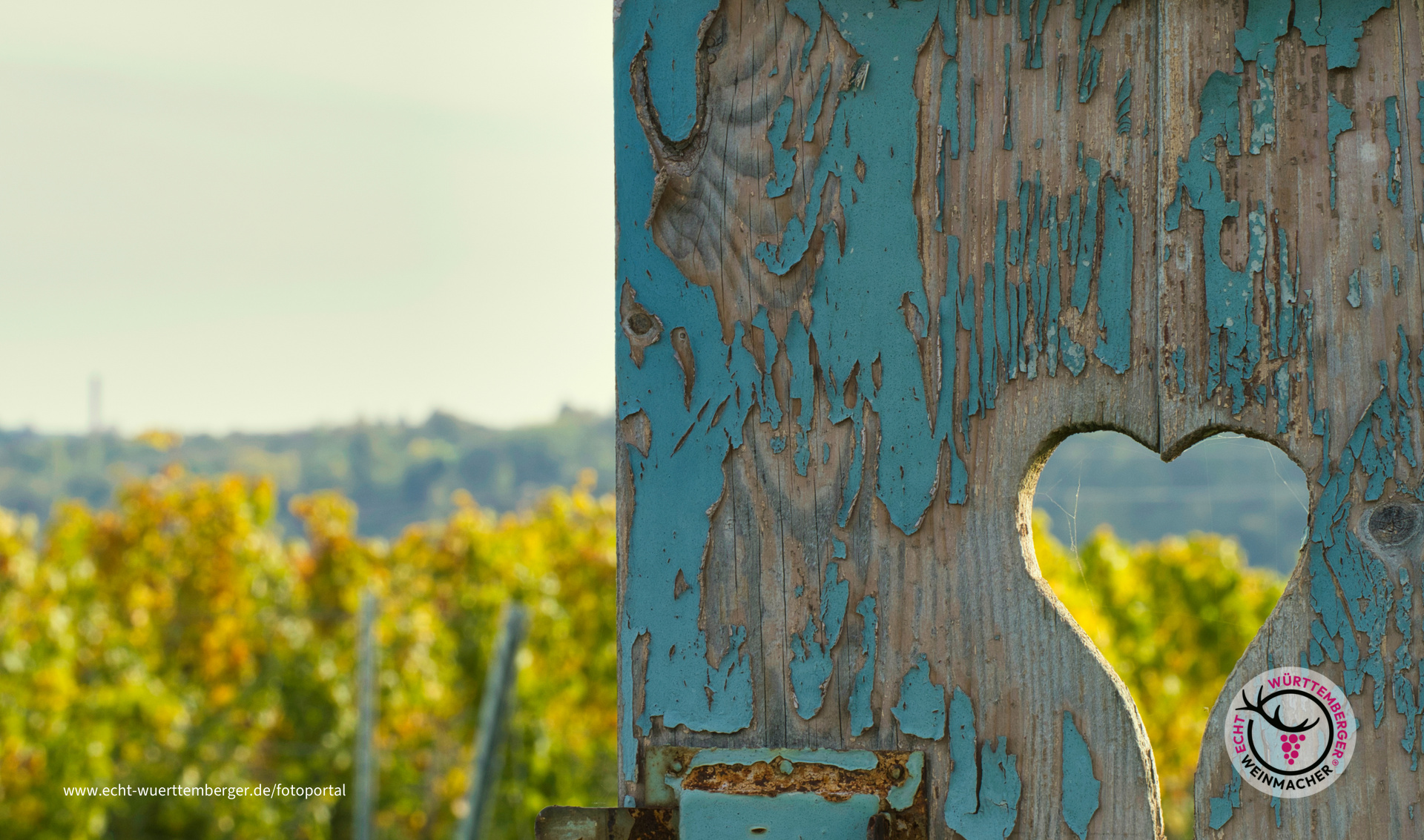 Wein im Herz!