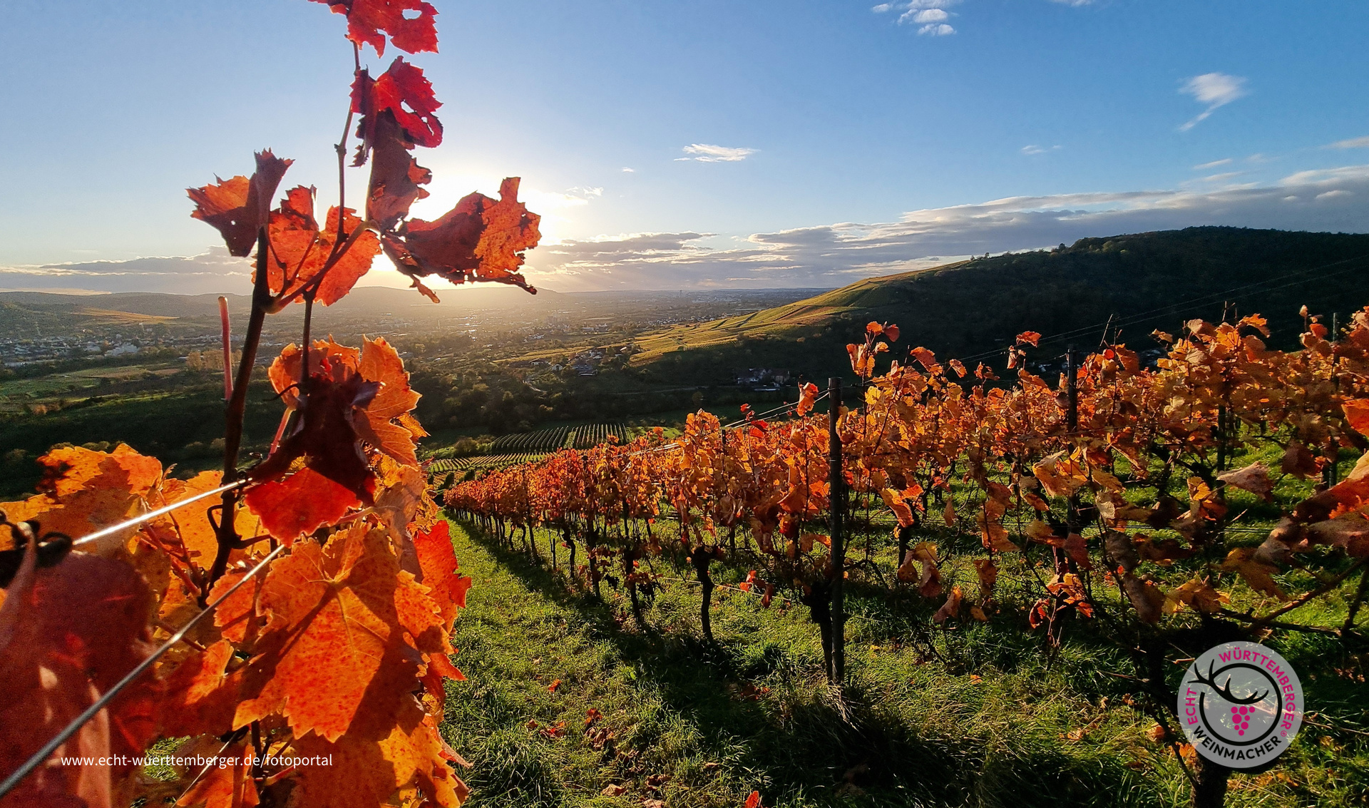 Farben im Wengert - Rot