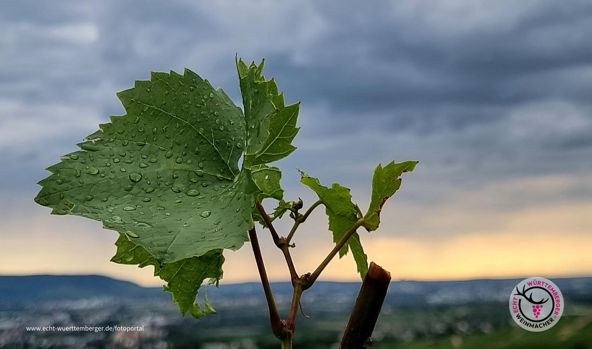 Regen im Juli