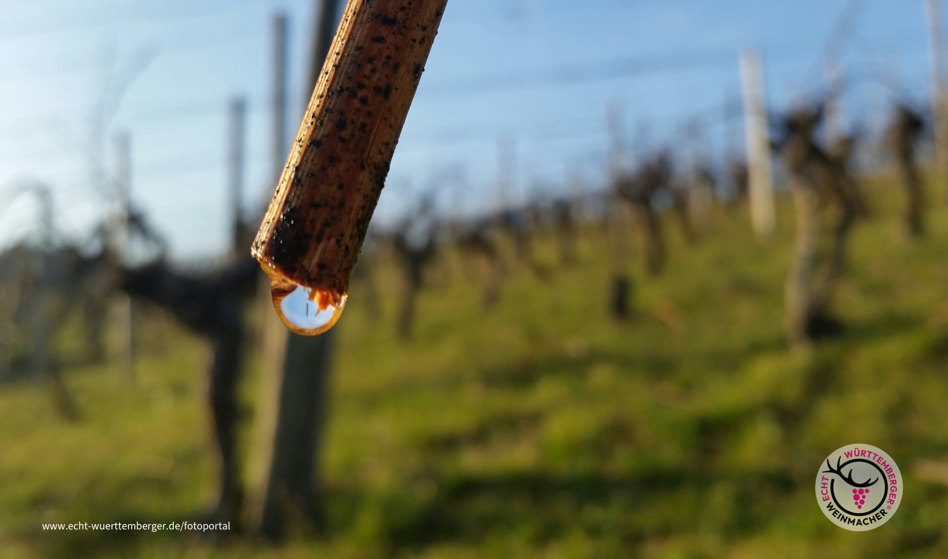 Frühling