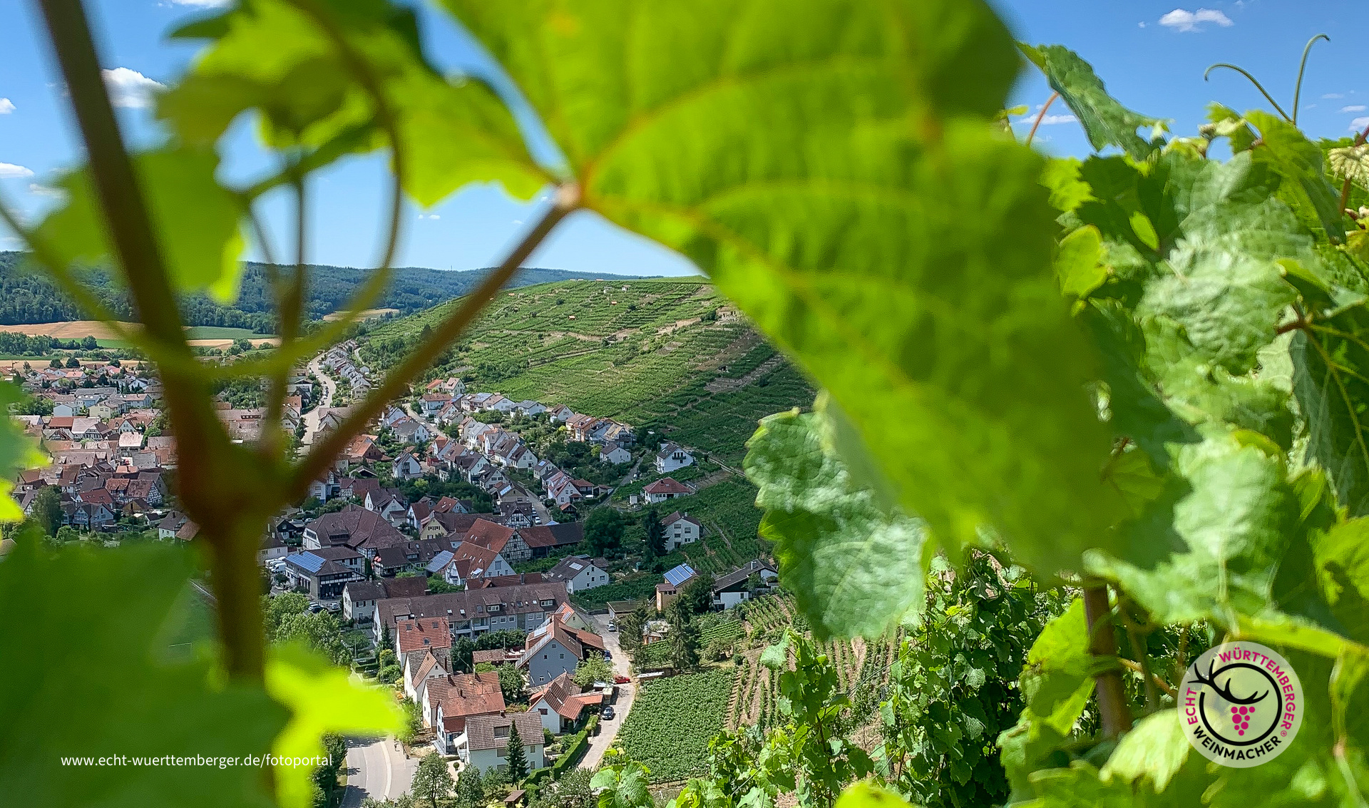 Blick auf die Rosswager Halde