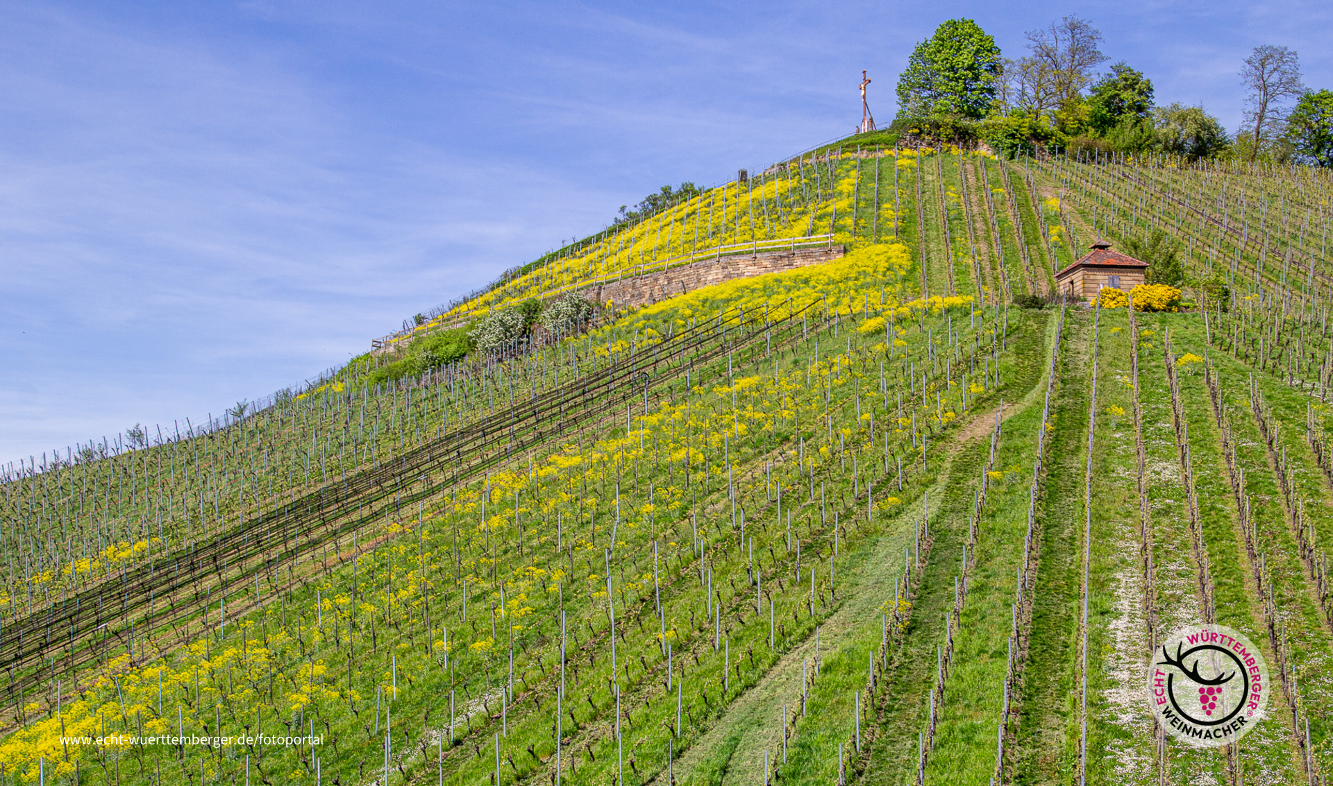 Es grünt und blüht am Scheuerberg