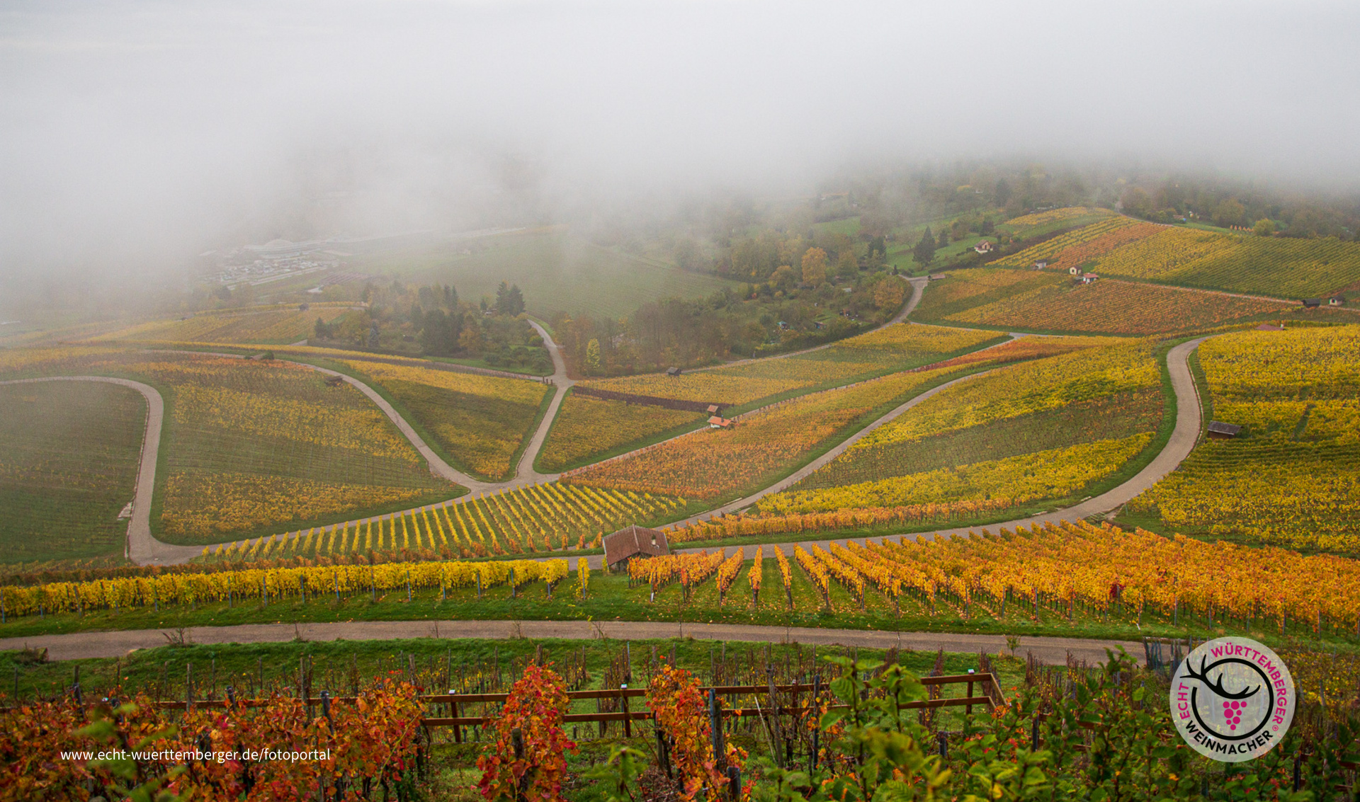 Der Nebel lichtet sich