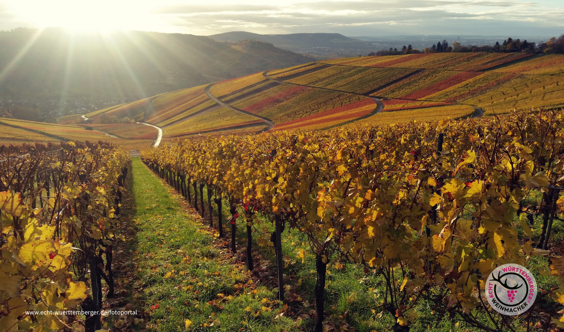 Schnaiter Herbstlaub 2