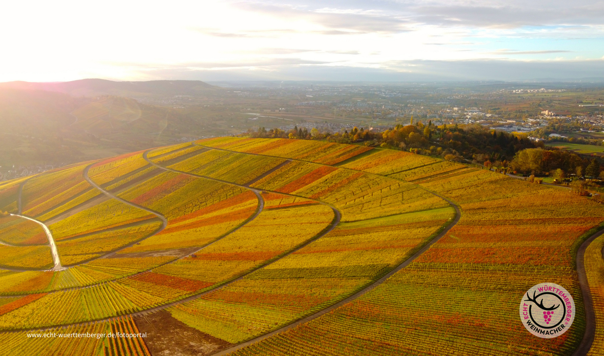 Schnaiter Herbstlaub 3