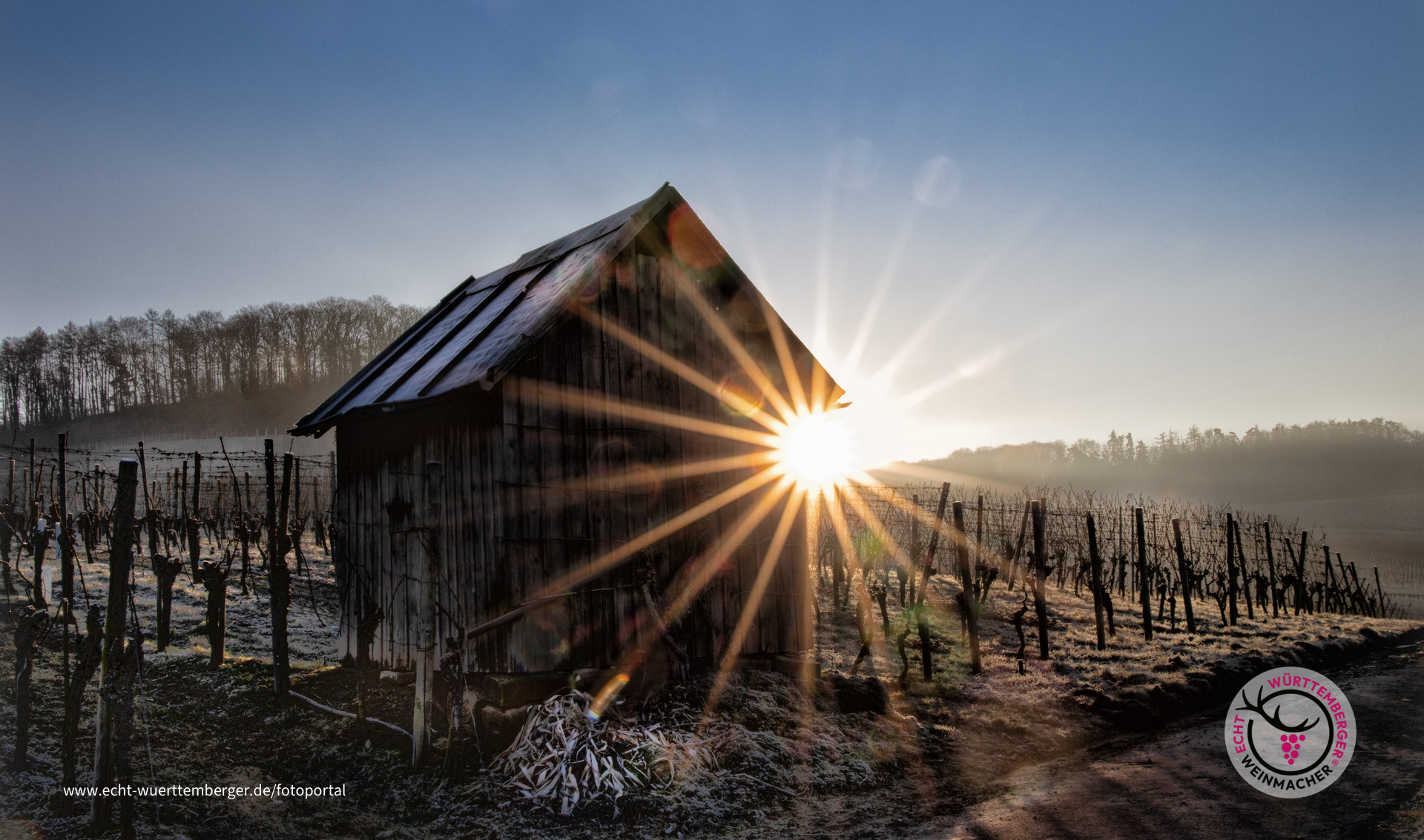 Sonnenaufgang an einem frostigen Wintertag