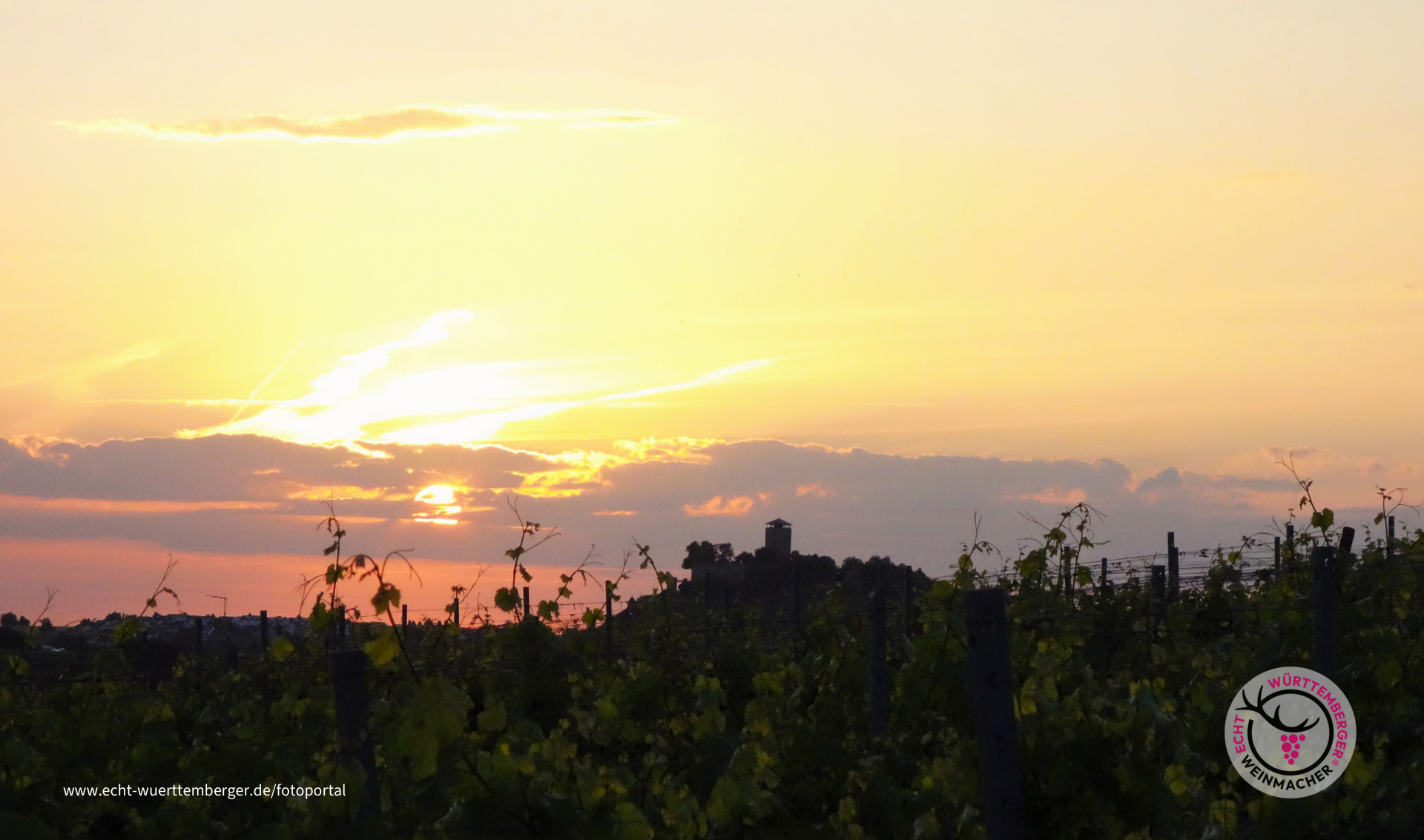 Abendstimmung mit Burgblick