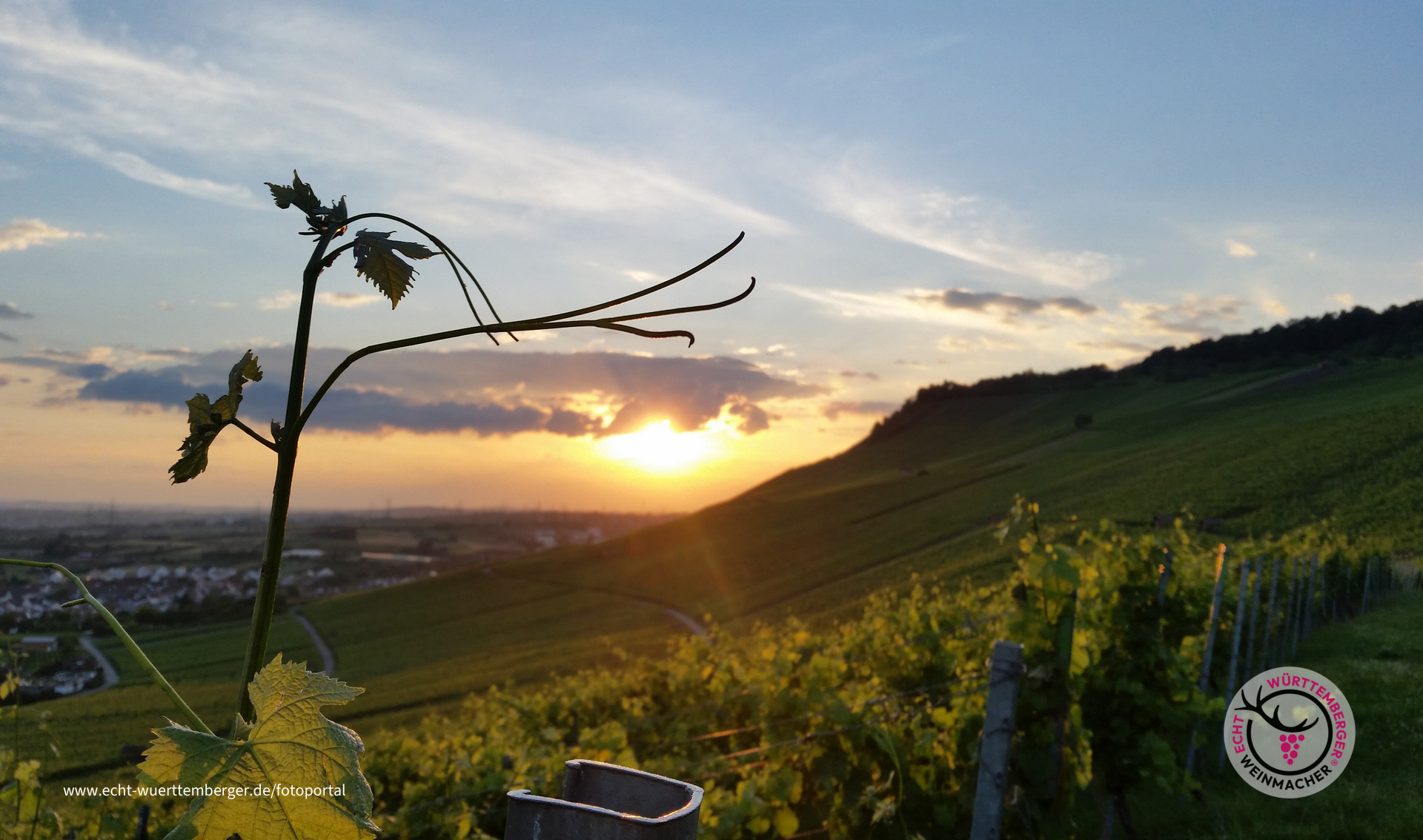 Kleinheppacher Kopf