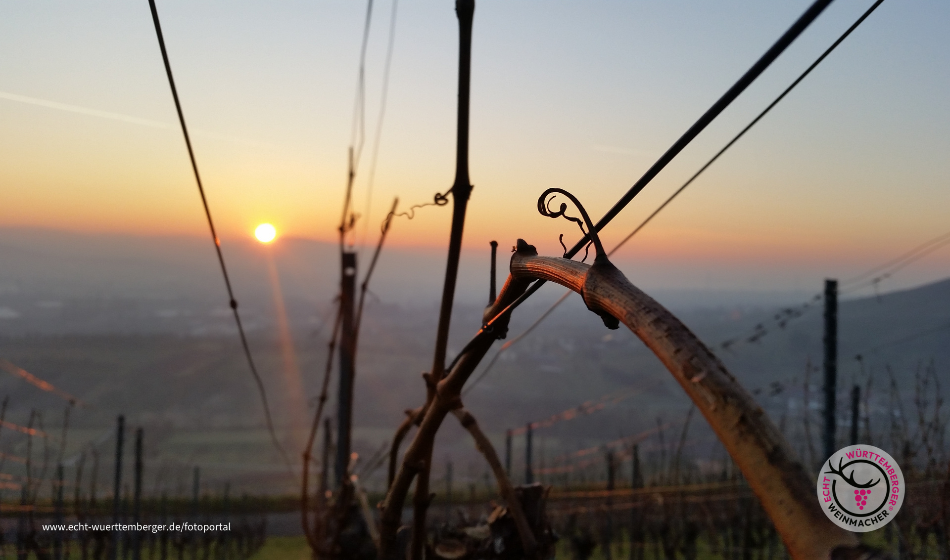 Untergehende Wintersonne 2