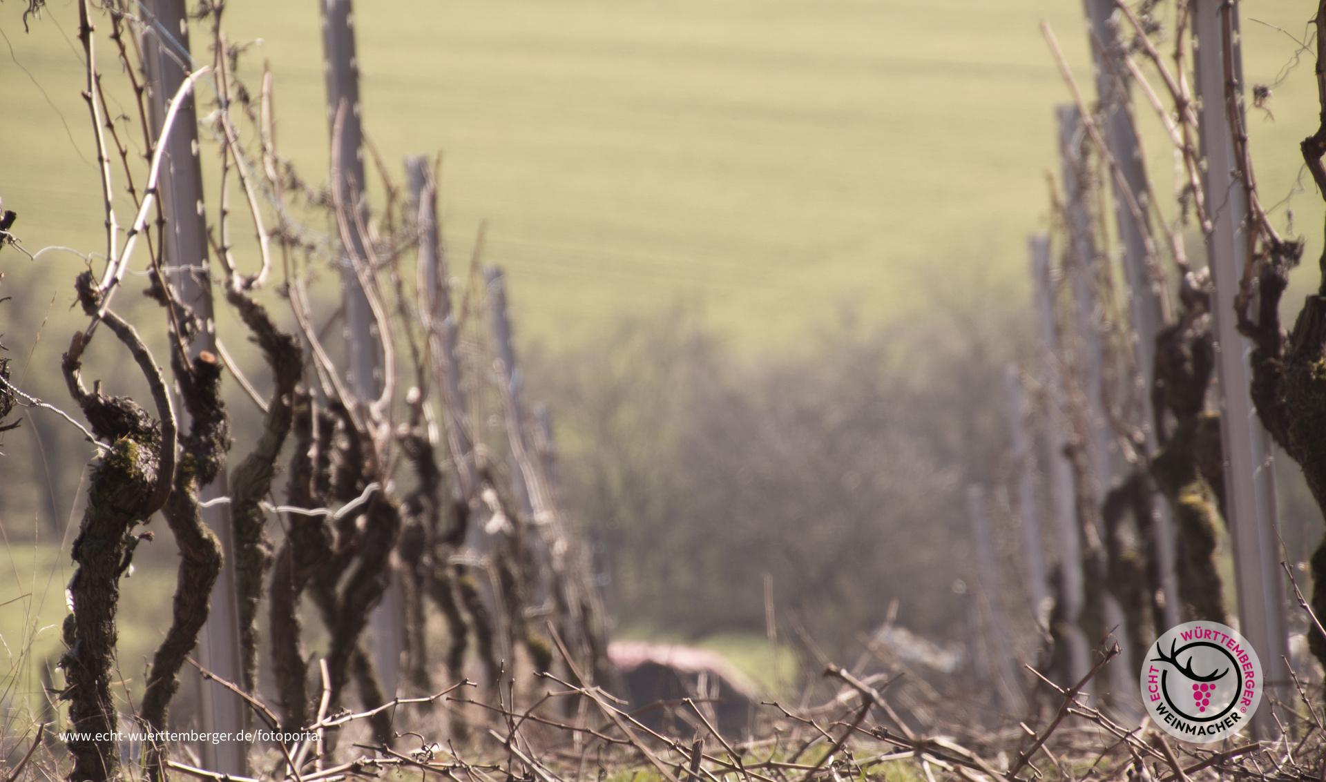 Schneiden und Biegen - zwei bleiben stehen