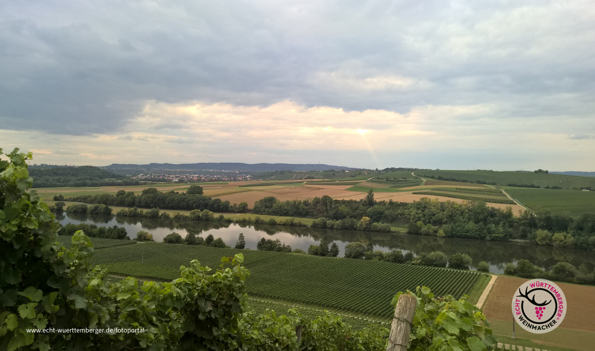 Weinheimat Neckarwestheim
