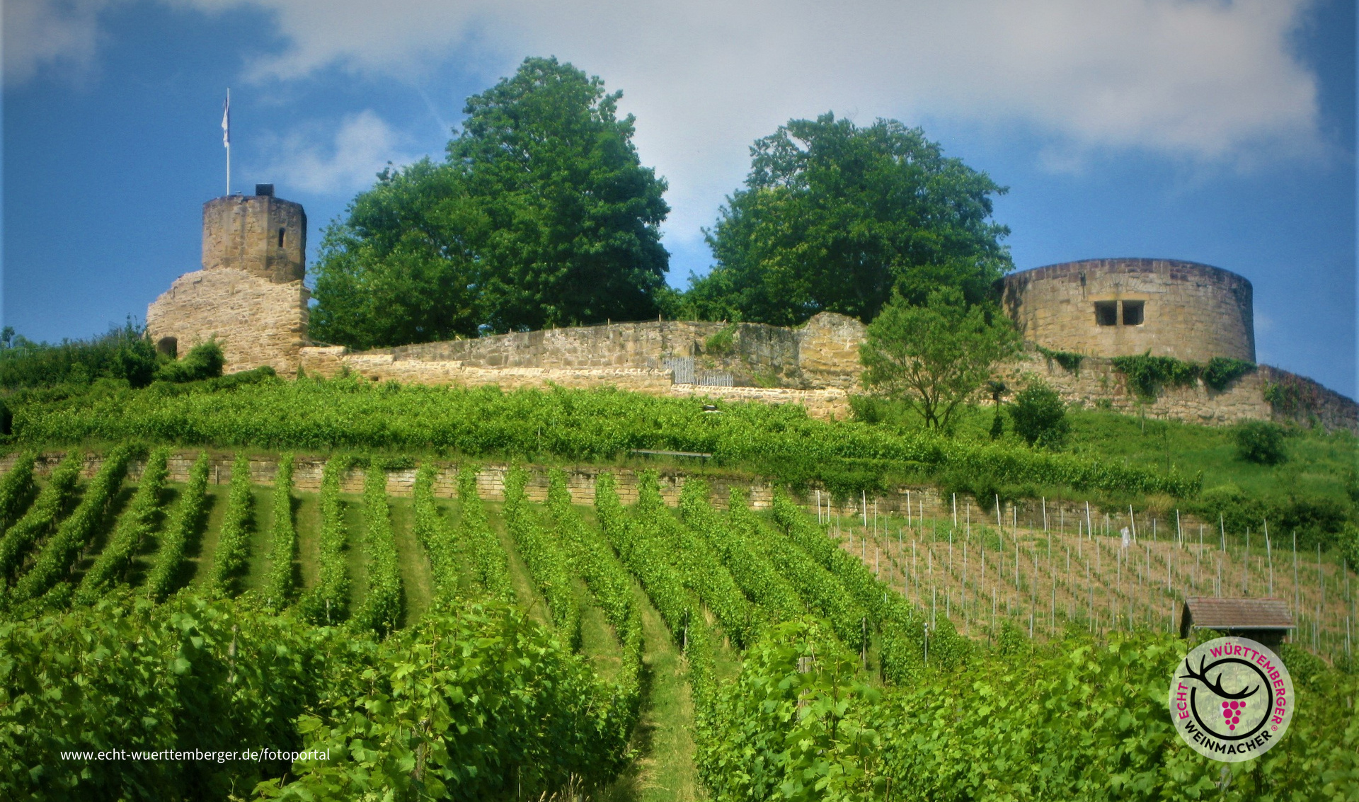 Blick auf die Burgruine Weibertreu am 27.06.2021