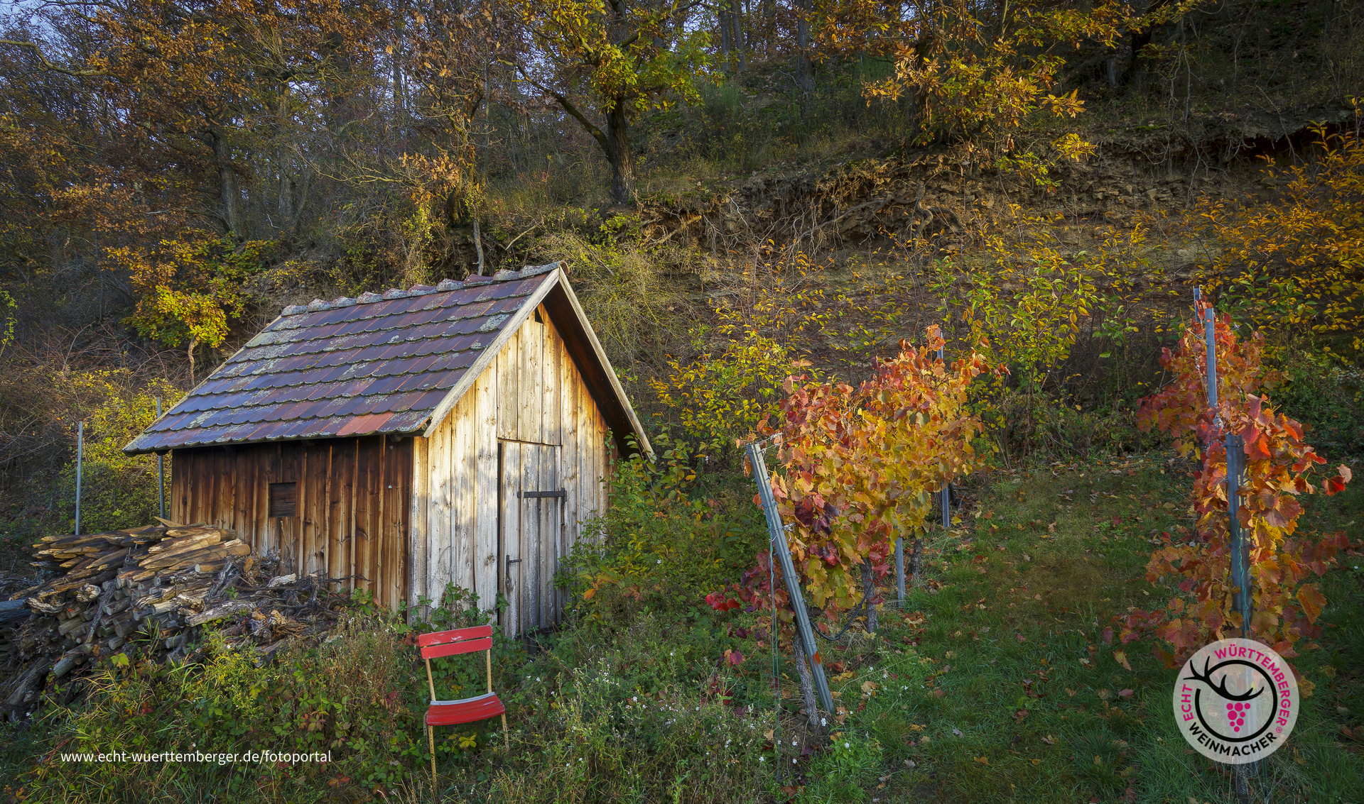 Die letzten Sonnenstrahlen in den Weinbergen genießen