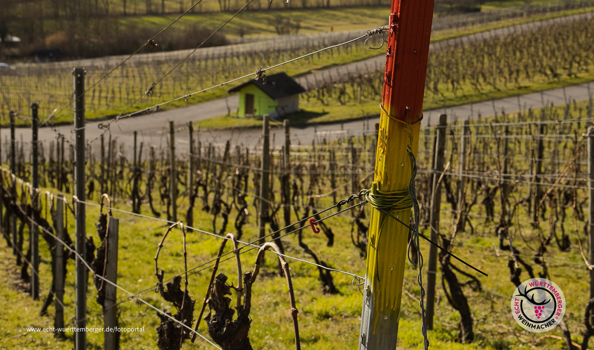 der Frühling klopft am 13.02. schon mal an