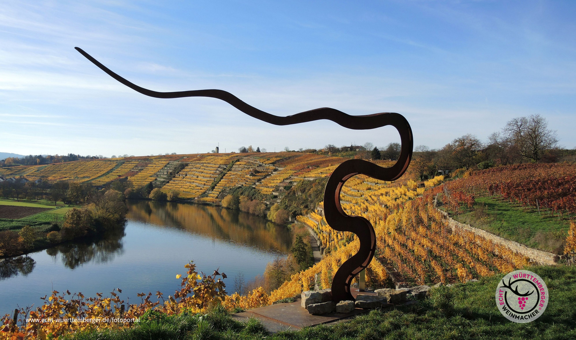 Weinterasse in Lauffen