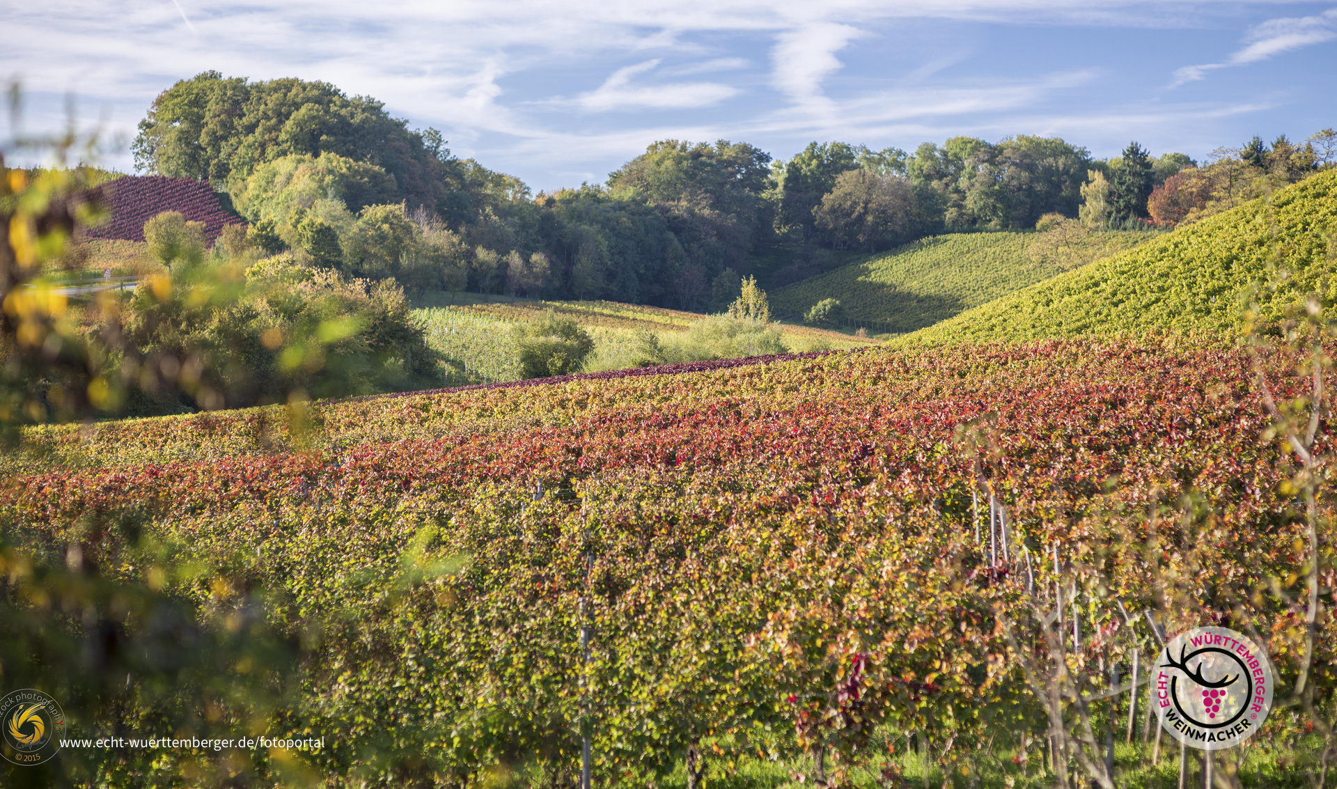 Neipperger Reblandschaft